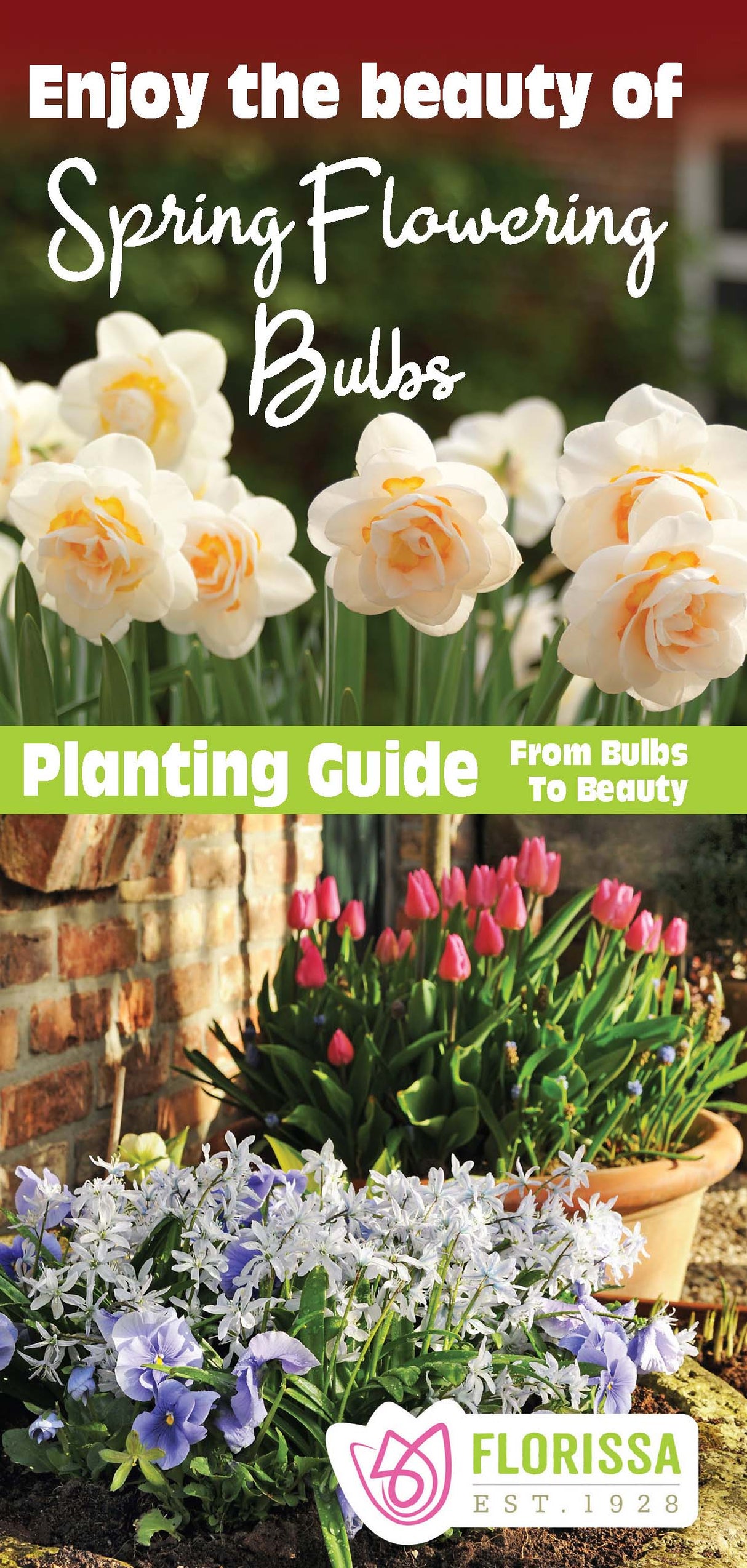 Fall Planting Instructions - English