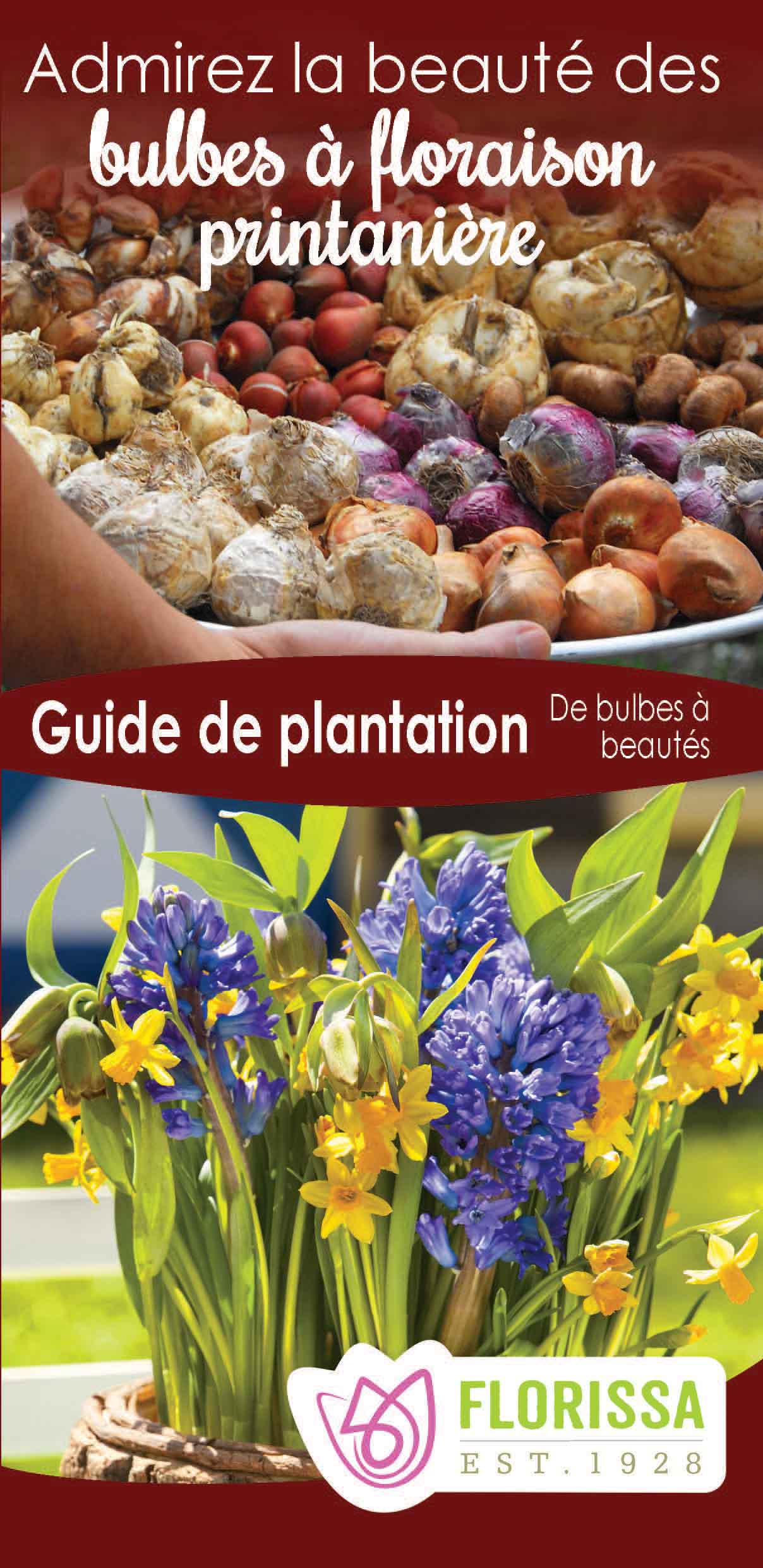 Fall Planting Instructions - French