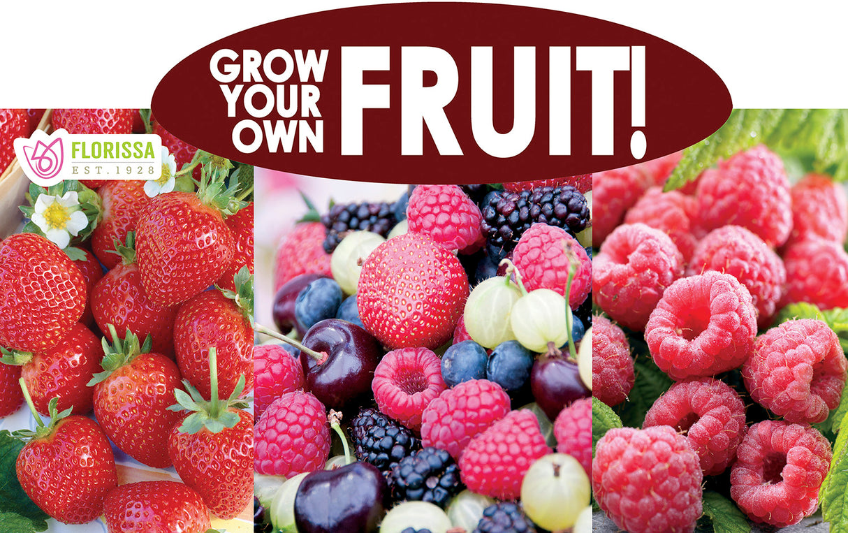 Metal Rack Topper - Grow your Own Fruit 25" long