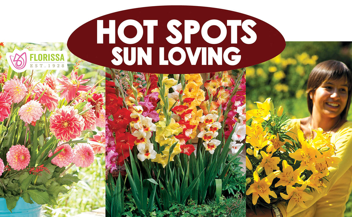 Metal Rack Topper - Hot Spots Sun Loving