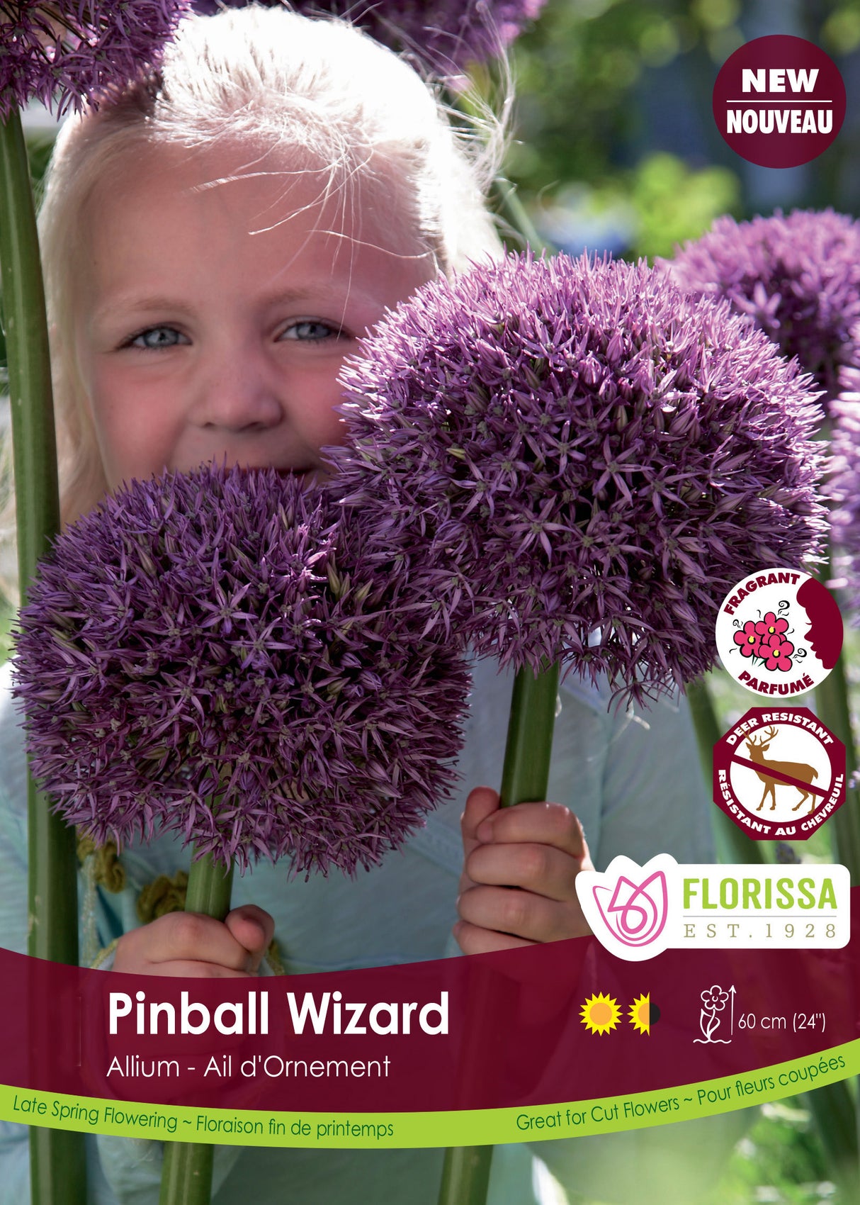 Allium - Pinball Wizard Bulk