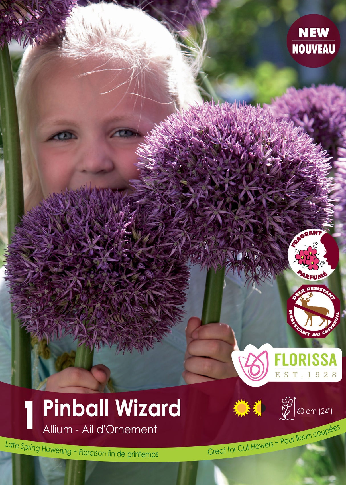 Allium - Pinball Wizard Retail