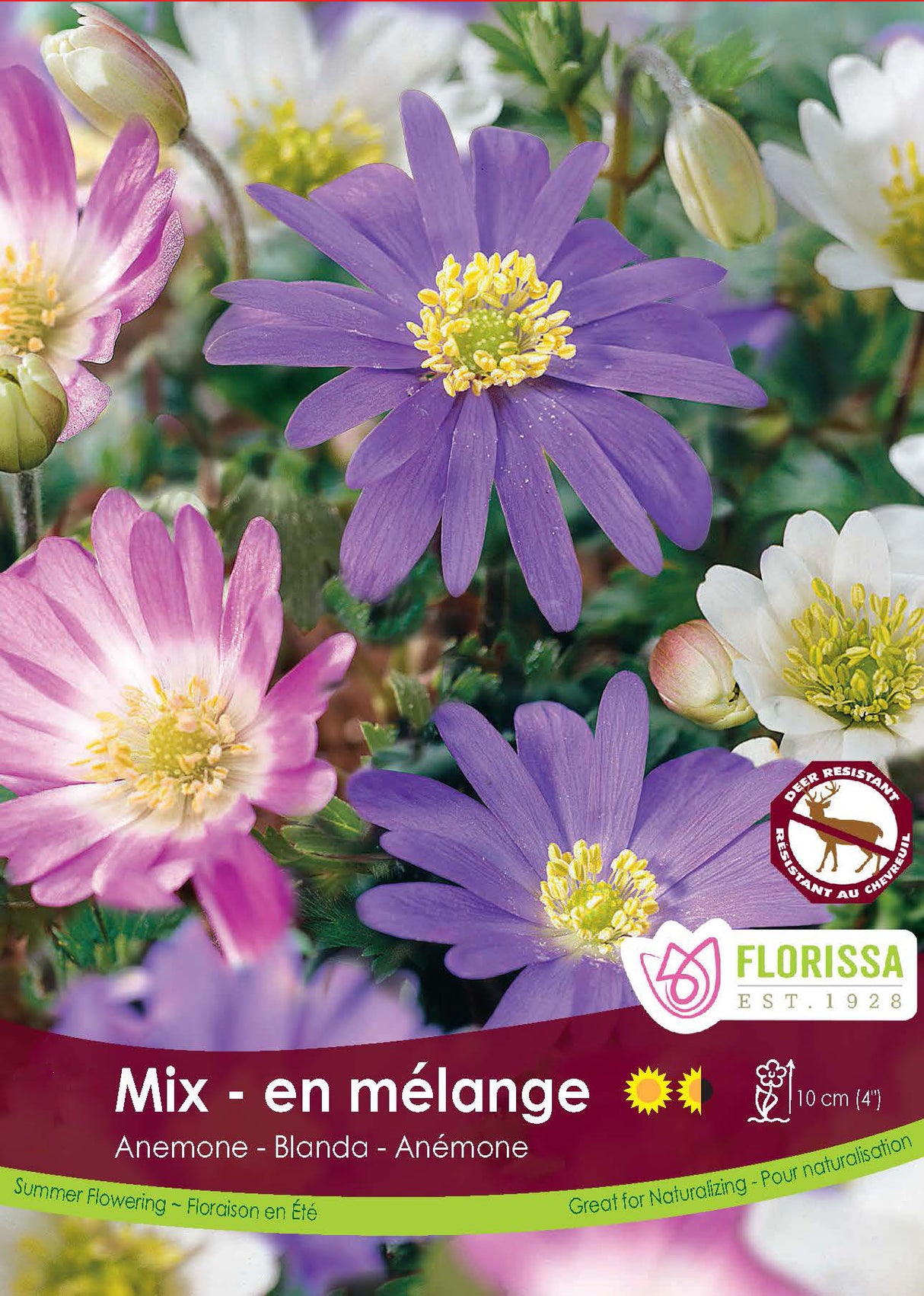Anemone Blanda - Mixed Retail