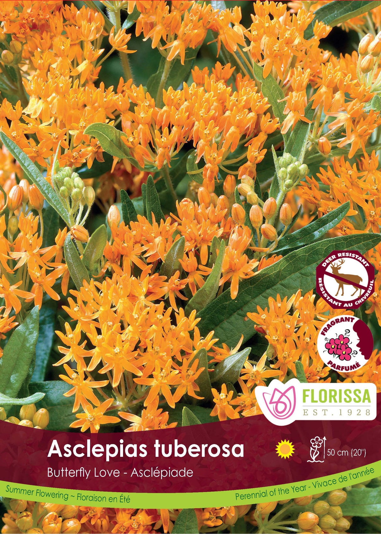 Asclepias tuberosa Retail Pkg