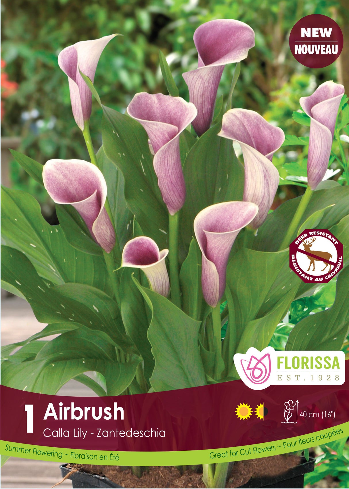 Calla Lily Zantedeschia - Airbrush Retail Pkg