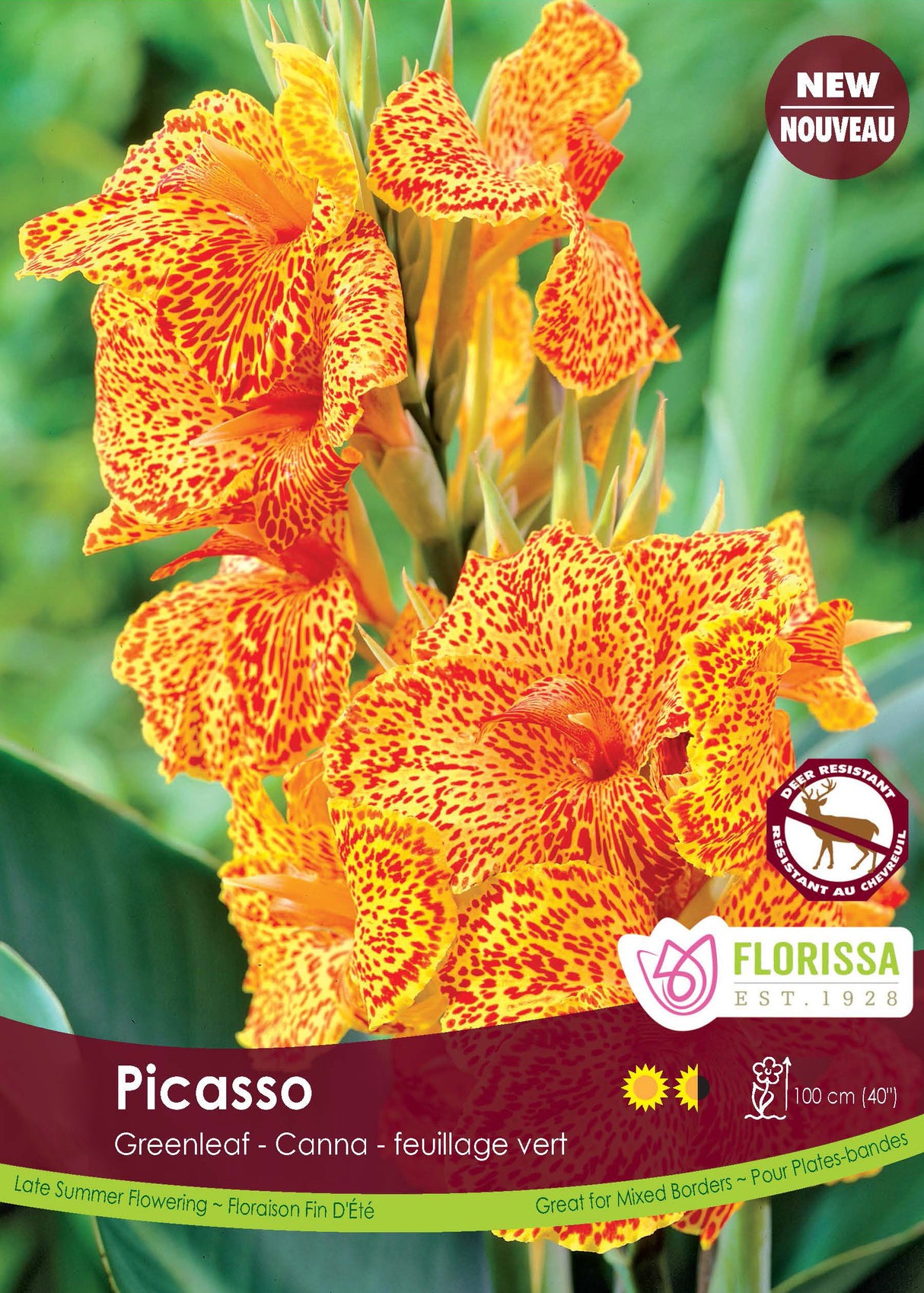 Canna Greenleaf - Picasso Retail Pkg