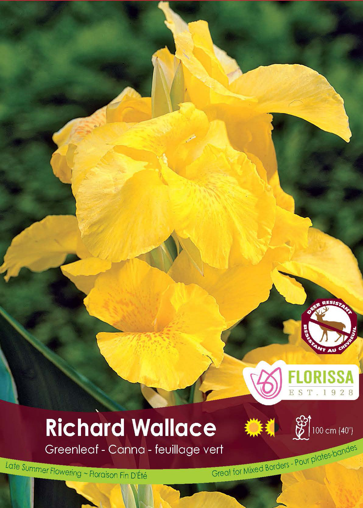 Canna Greenleaf - Richard Wallace Retail Pkg