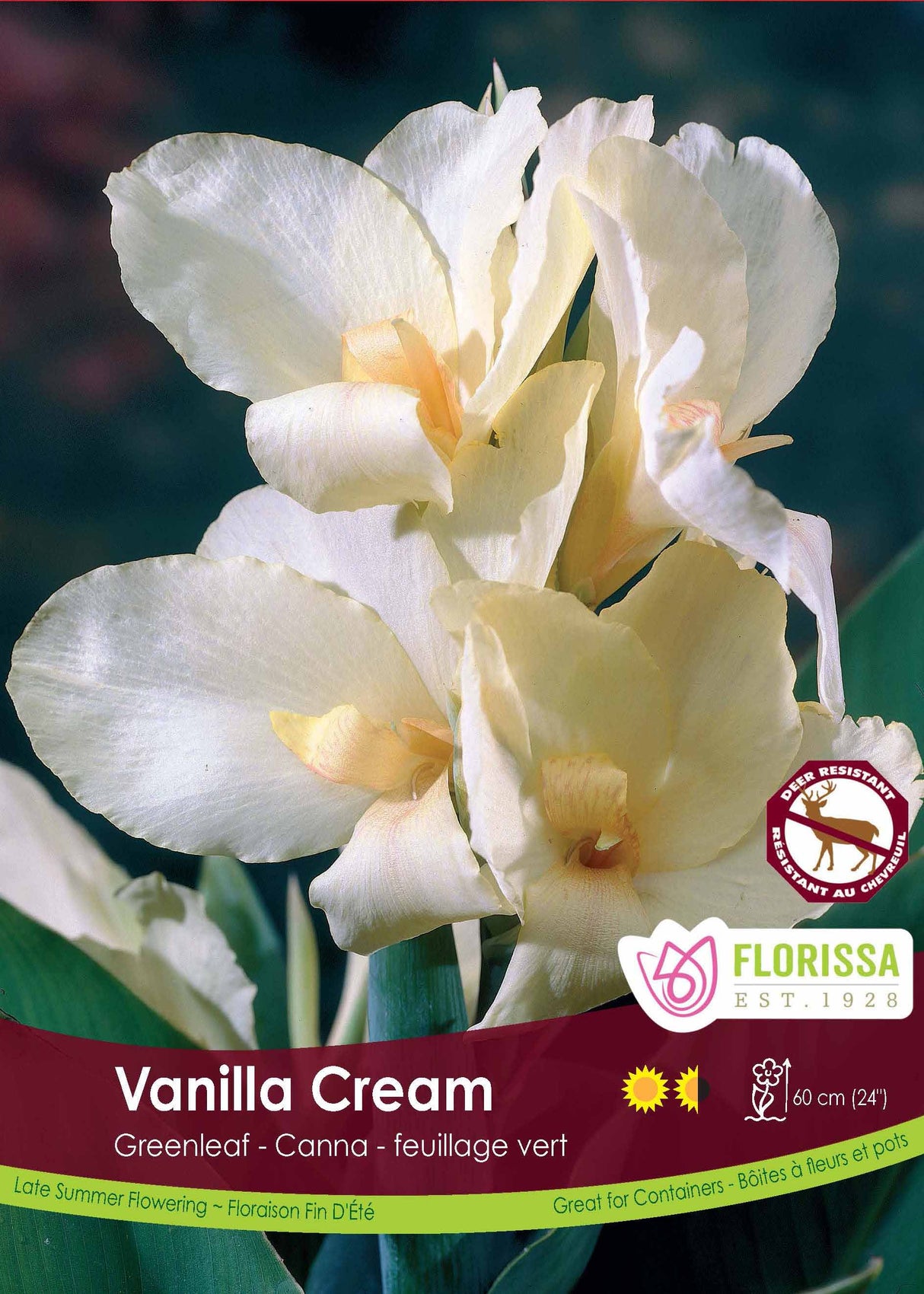 Canna Greenleaf - Vanilla Cream Bulk