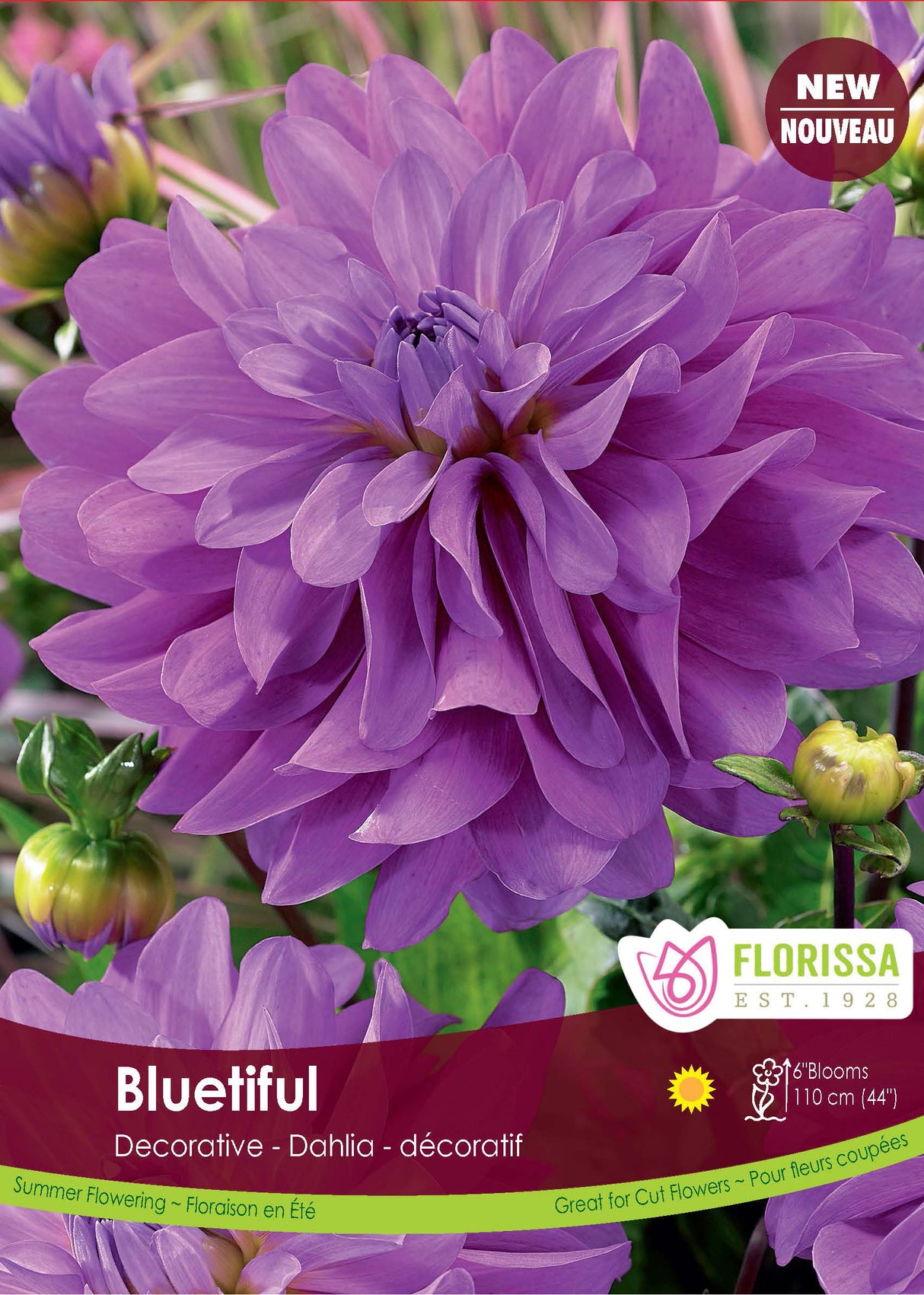Dahlia Decorative - Bluetiful Retail
