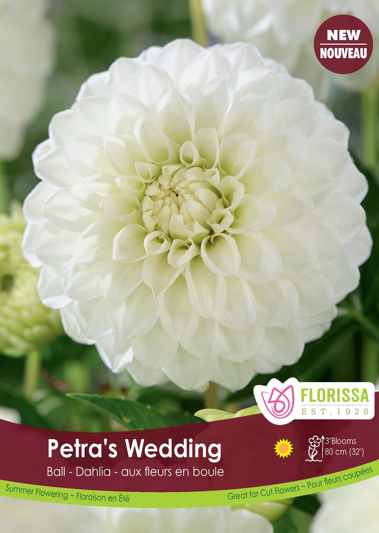 Dahlia Ball - Petra's Wedding Retail