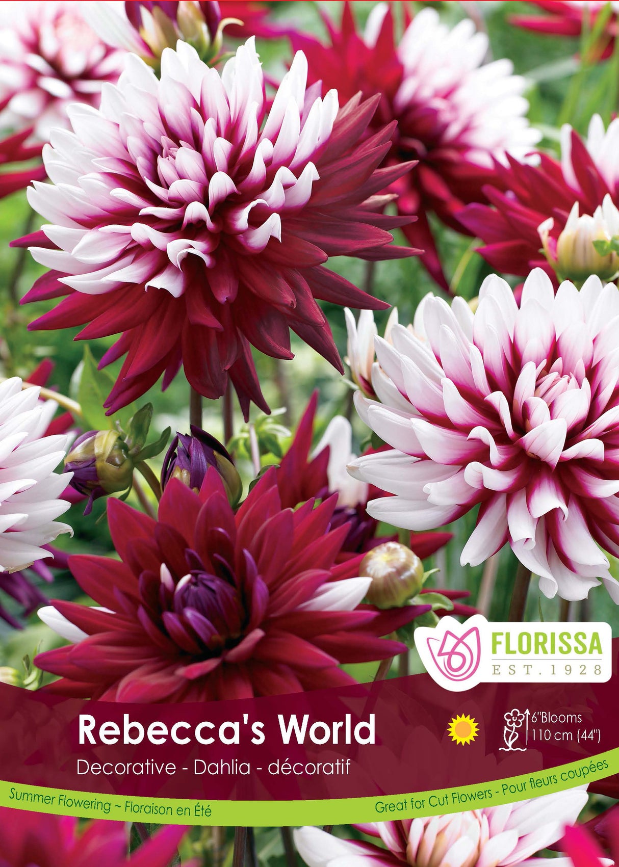 Dahlia Decorative - Rebecca's World Retail