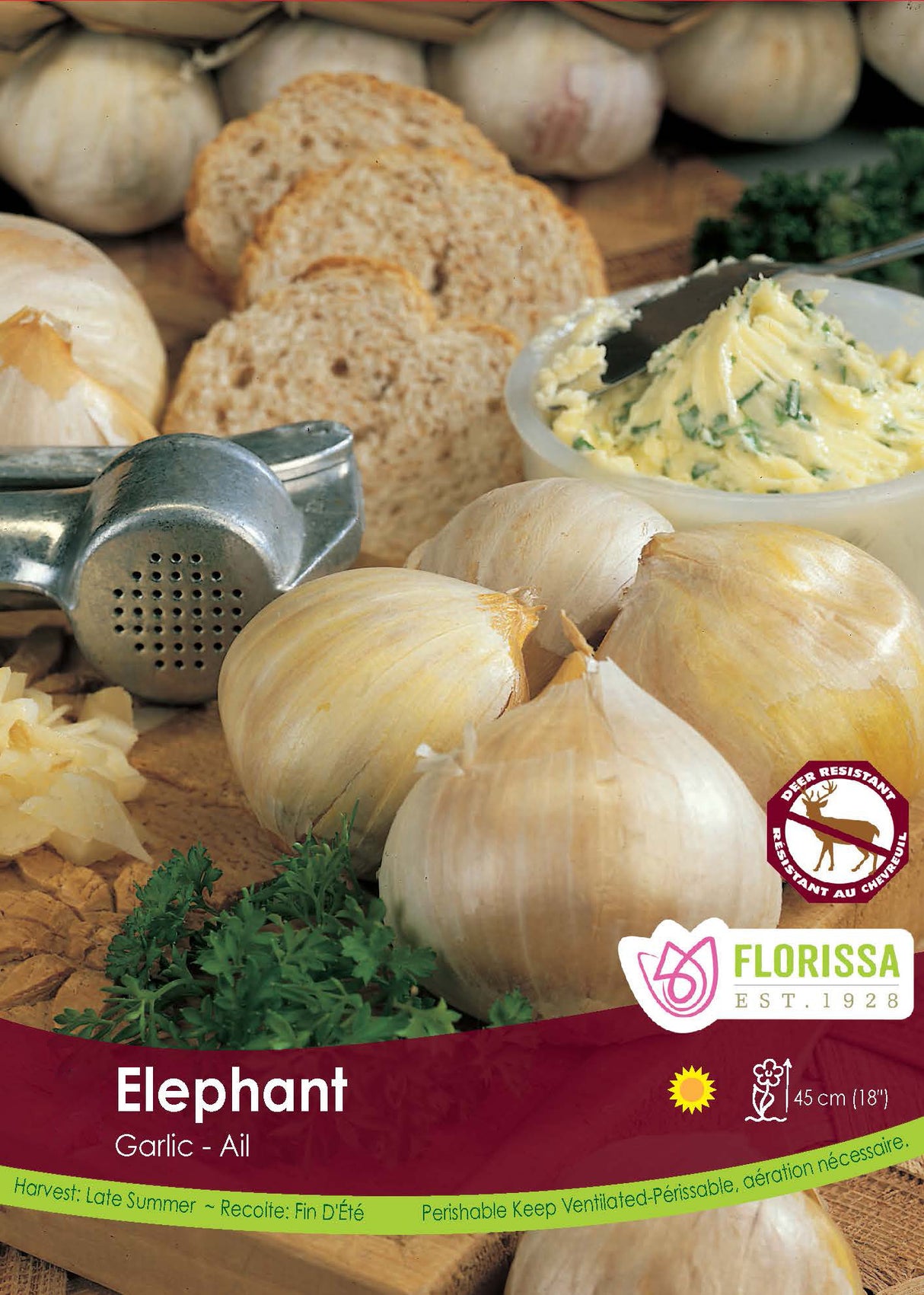 Garlic Jumbo - Elephant 30 lb/ Tray