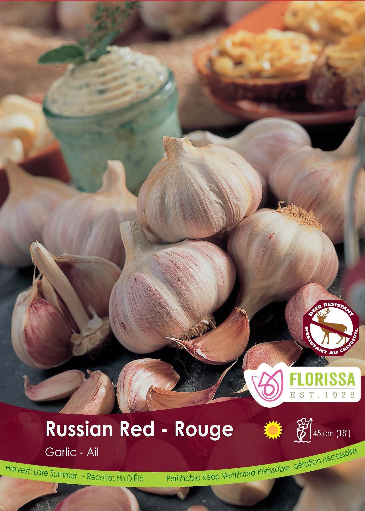 Garlic Jumbo - Russian Red Garlic 30 lb/ Tray