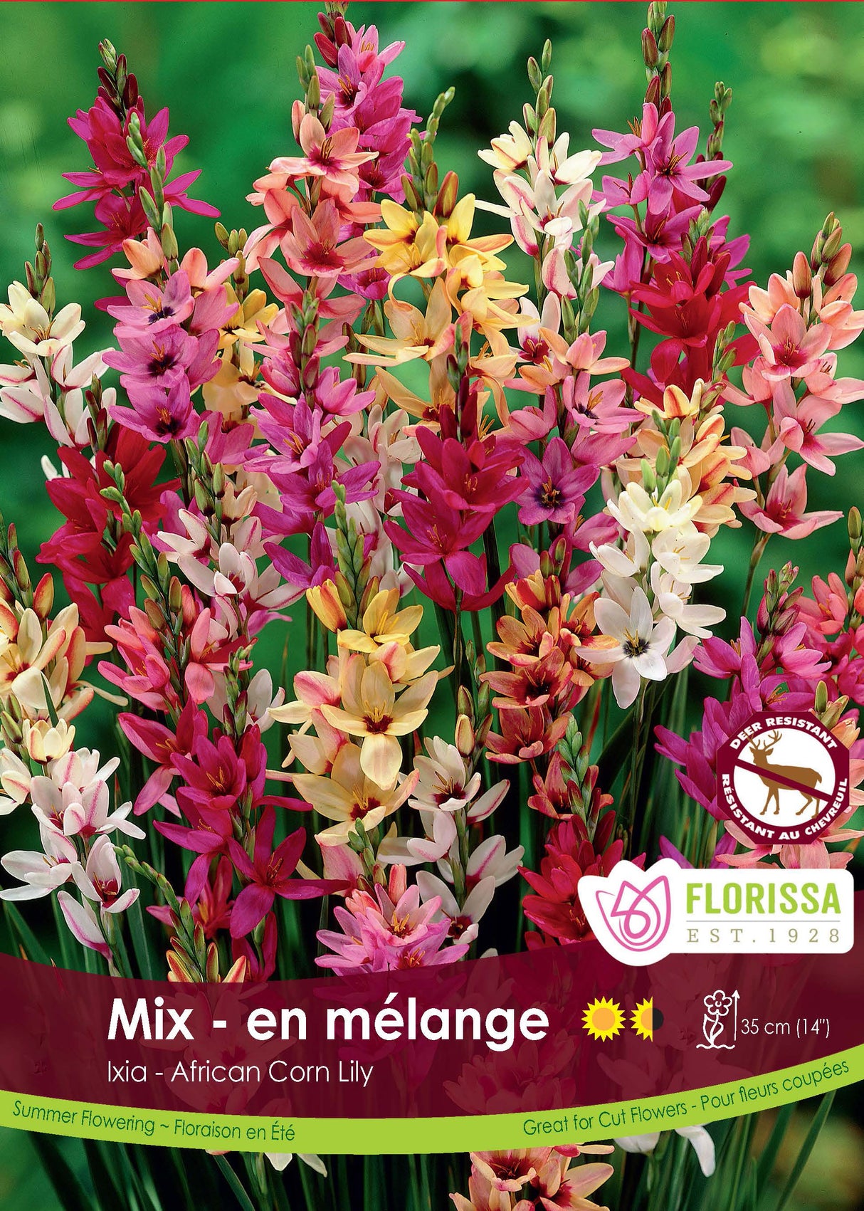 Ixia - Hybrids Mixed