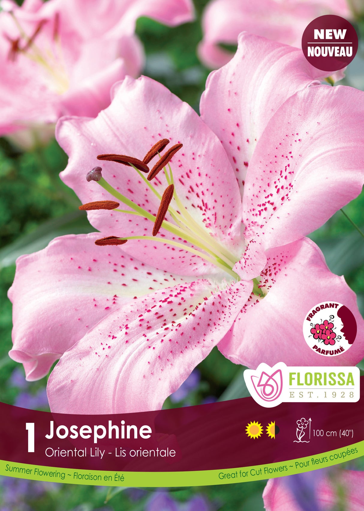 Lily Oriental  - Josephine Retail