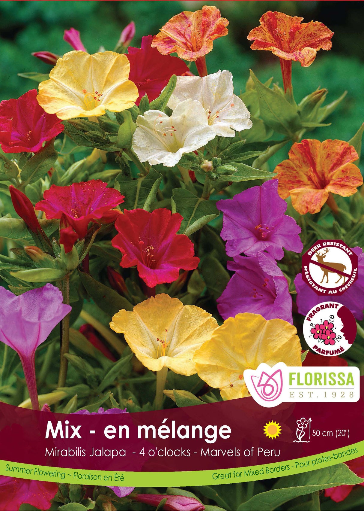 Mirabilis - Jalapa Mix