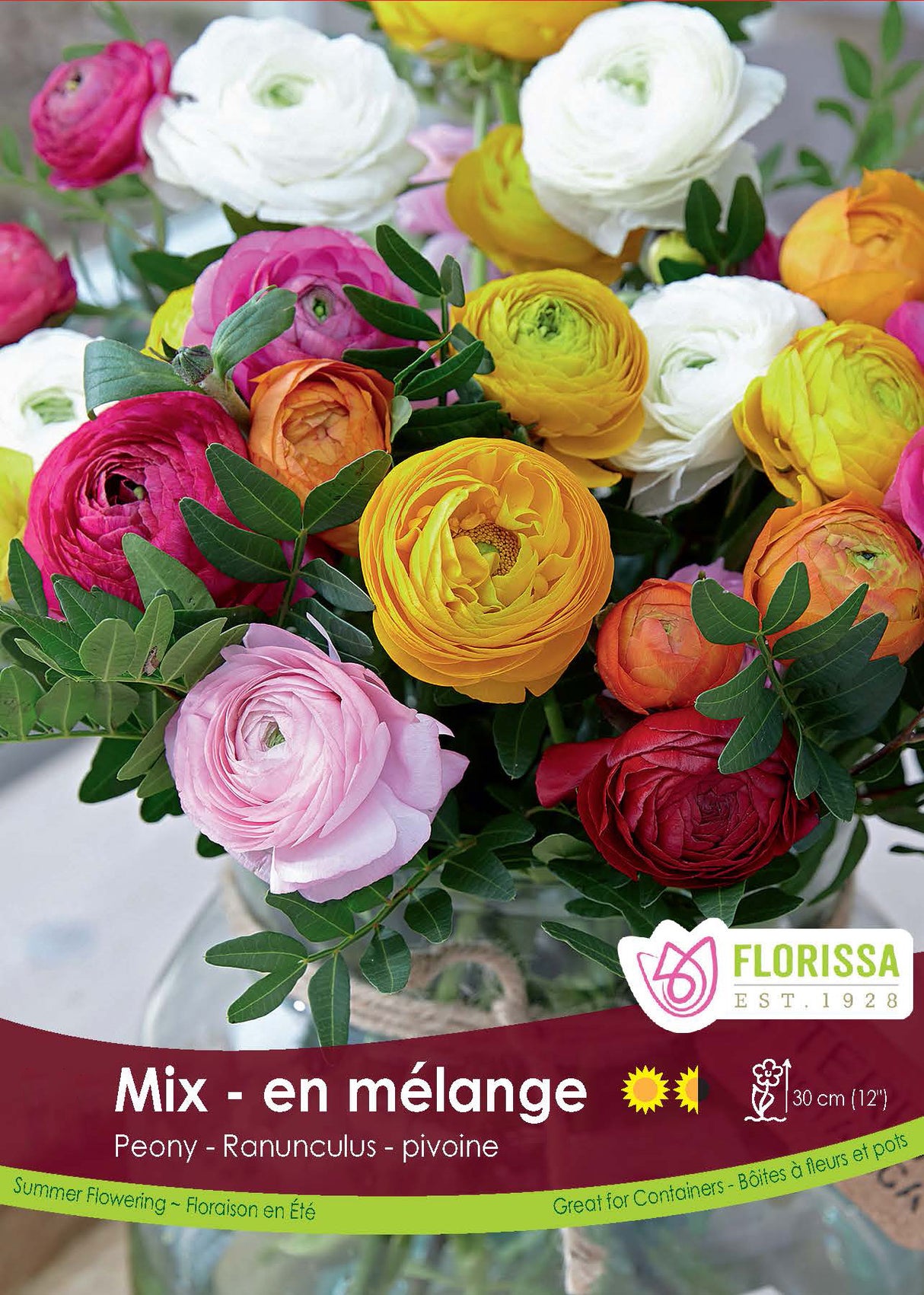 Ranunculus - Peony Mixed Spring Retail
