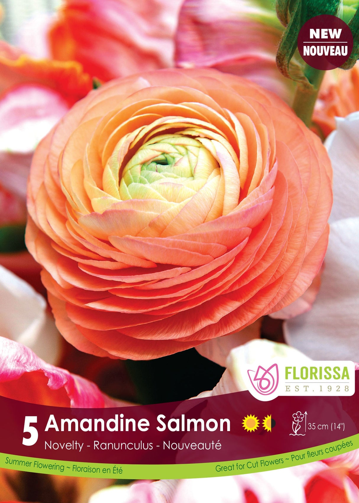 Ranunculus - Amandine Salmon Spring Bulk