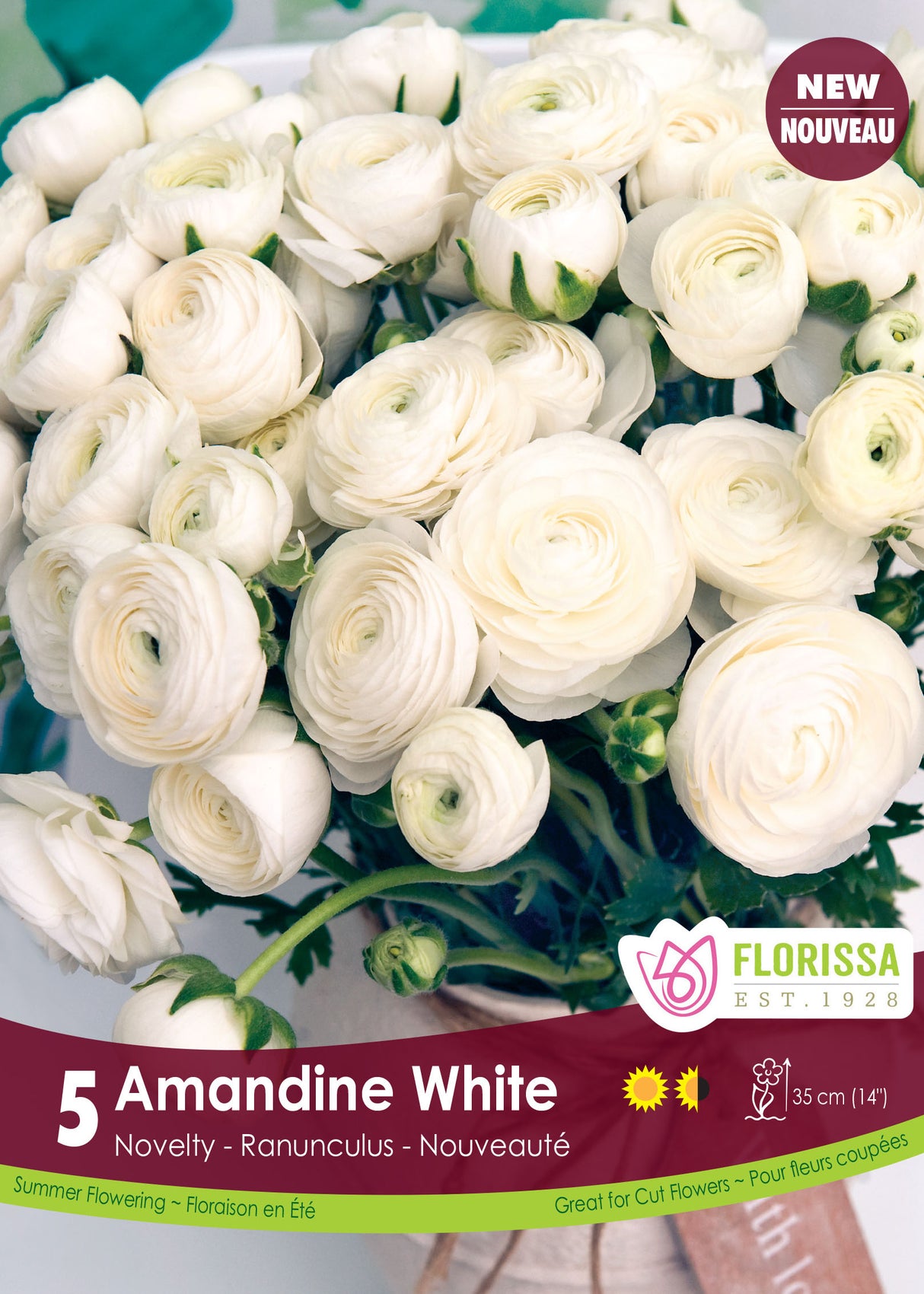 Ranunculus - Amandine White Spring Retail