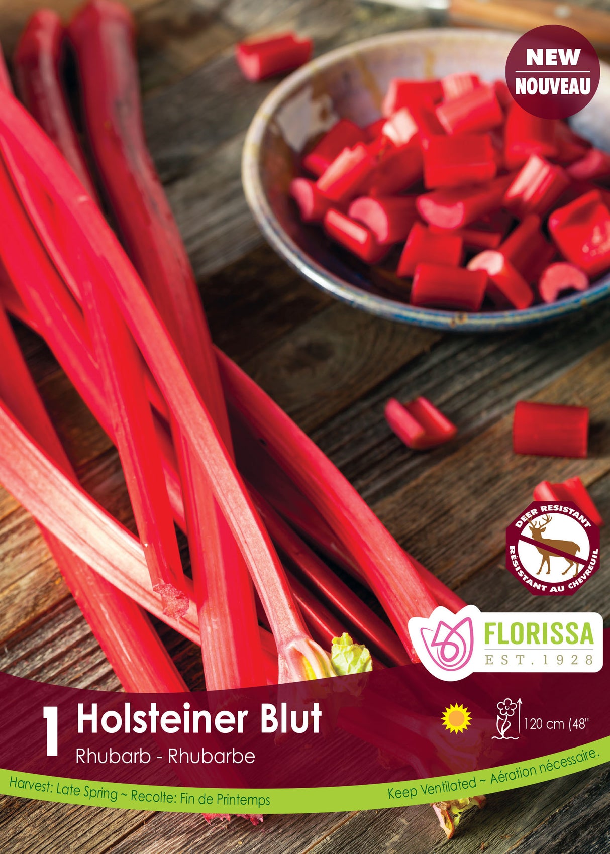 Rhubarb - Holstenier Blut Retail