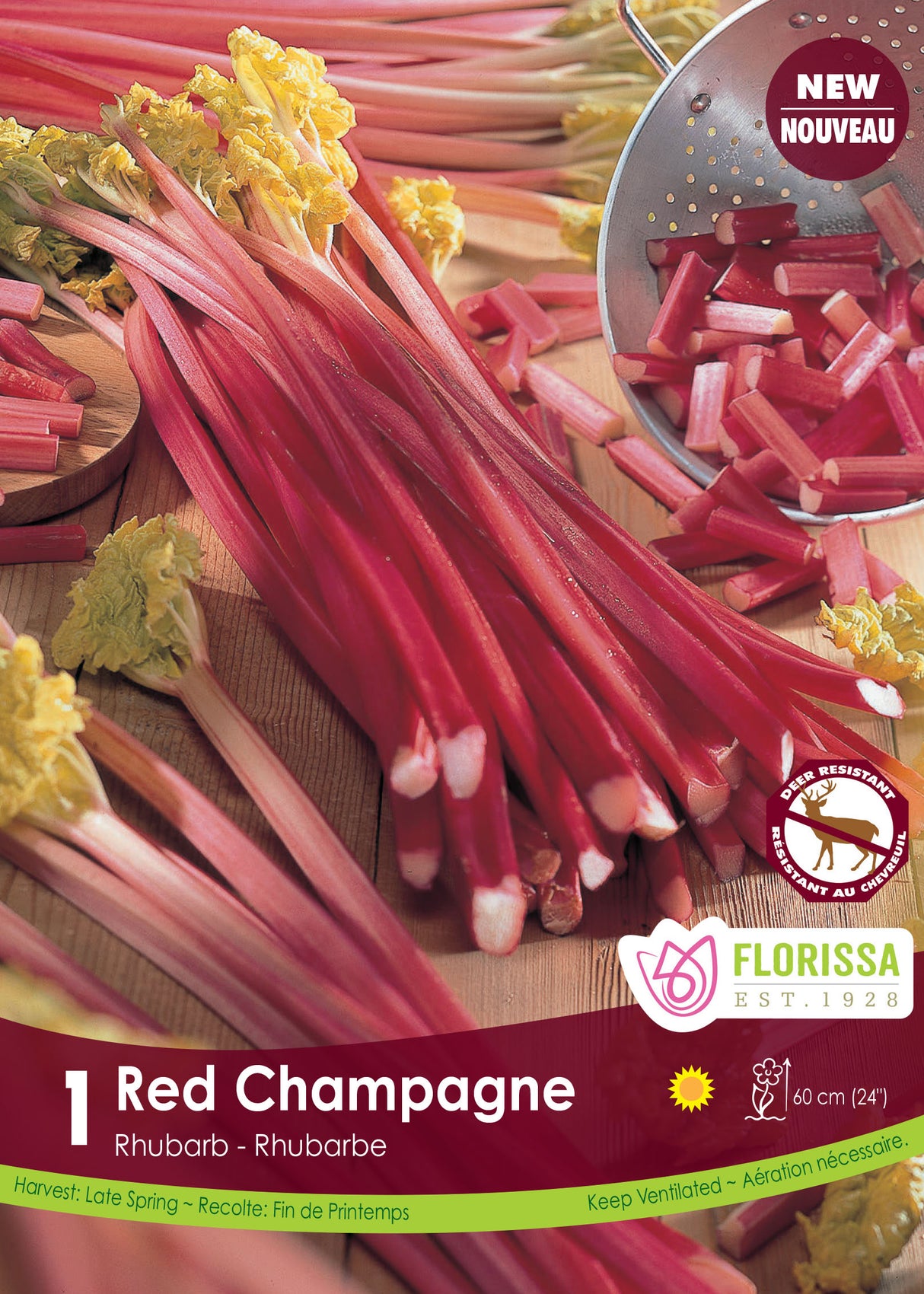 Rhubarb - Red Champagne Retail