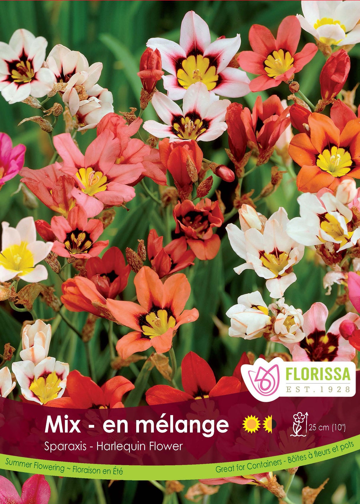 Sparaxis Mixed