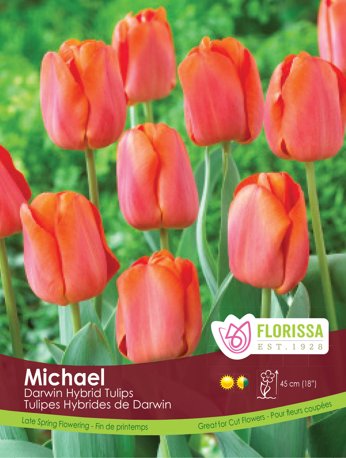 Tulip - Michael Bulk Black Tray