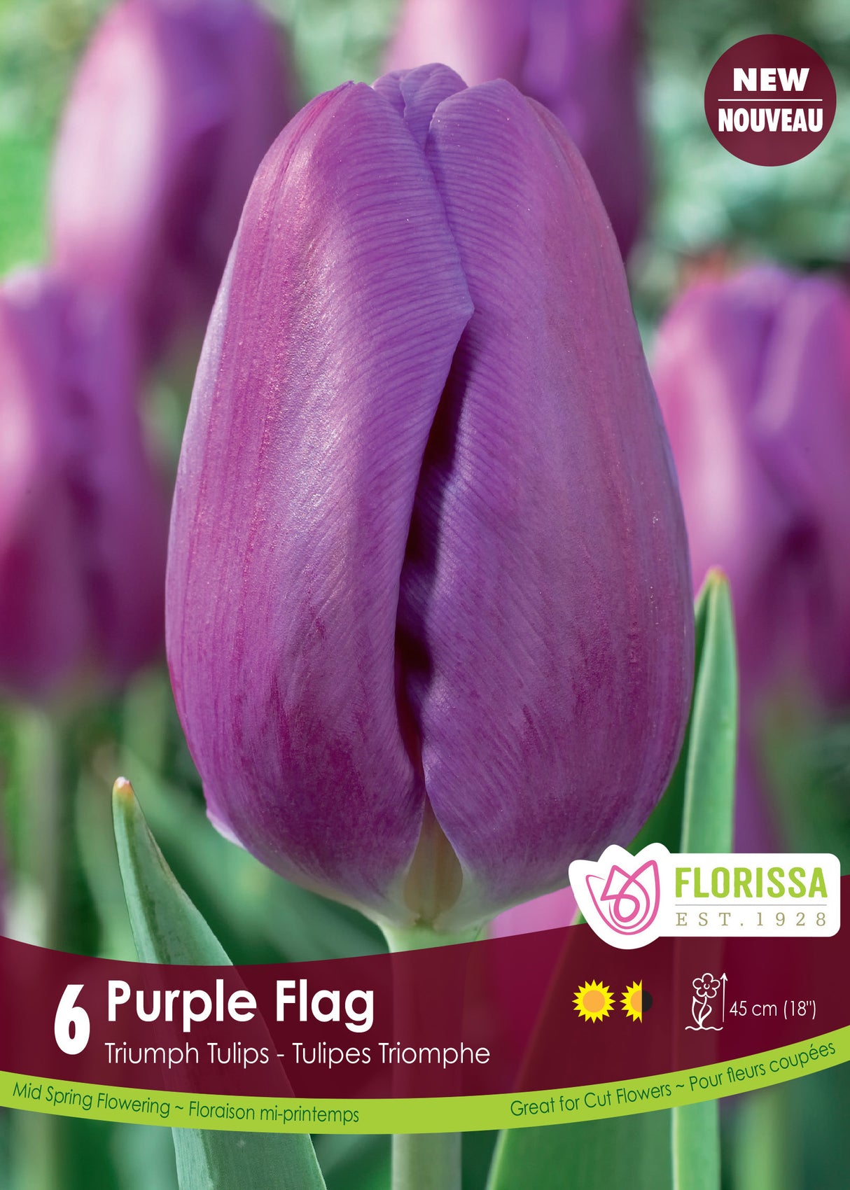 Tulip - Purple Flag Bulk Black Tray