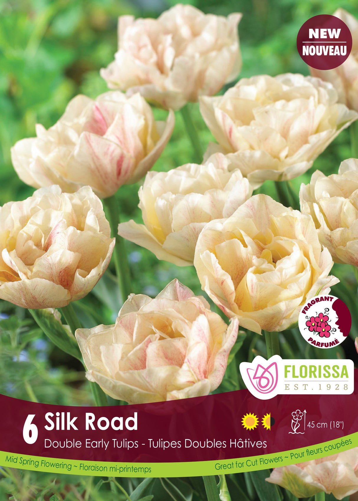 Tulip Double Early - Silk Road Retail
