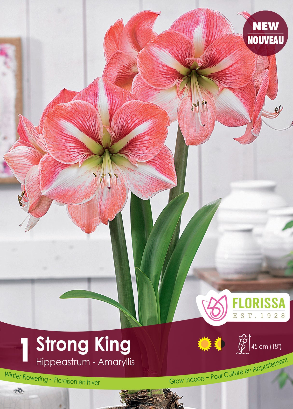 Amaryllis - Strong King Size 34/36