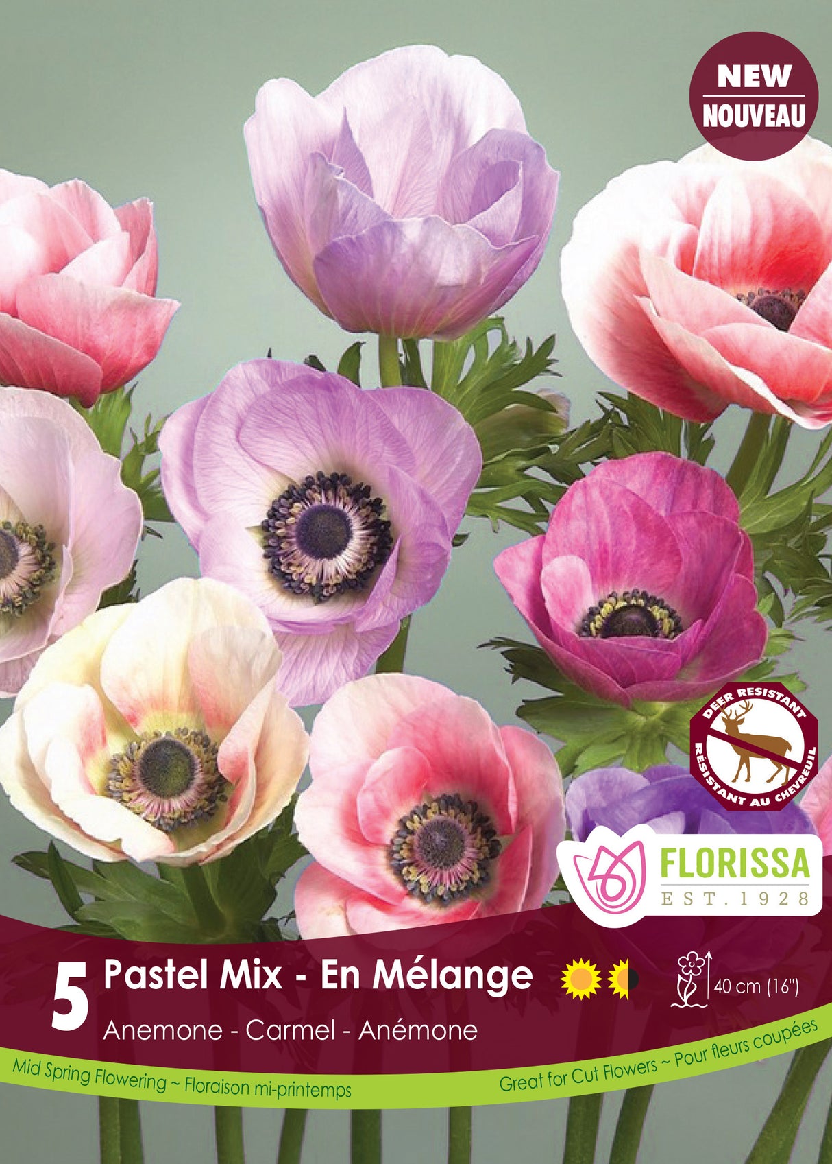 Anemone - Carmel Pastel Mix Fall Retail