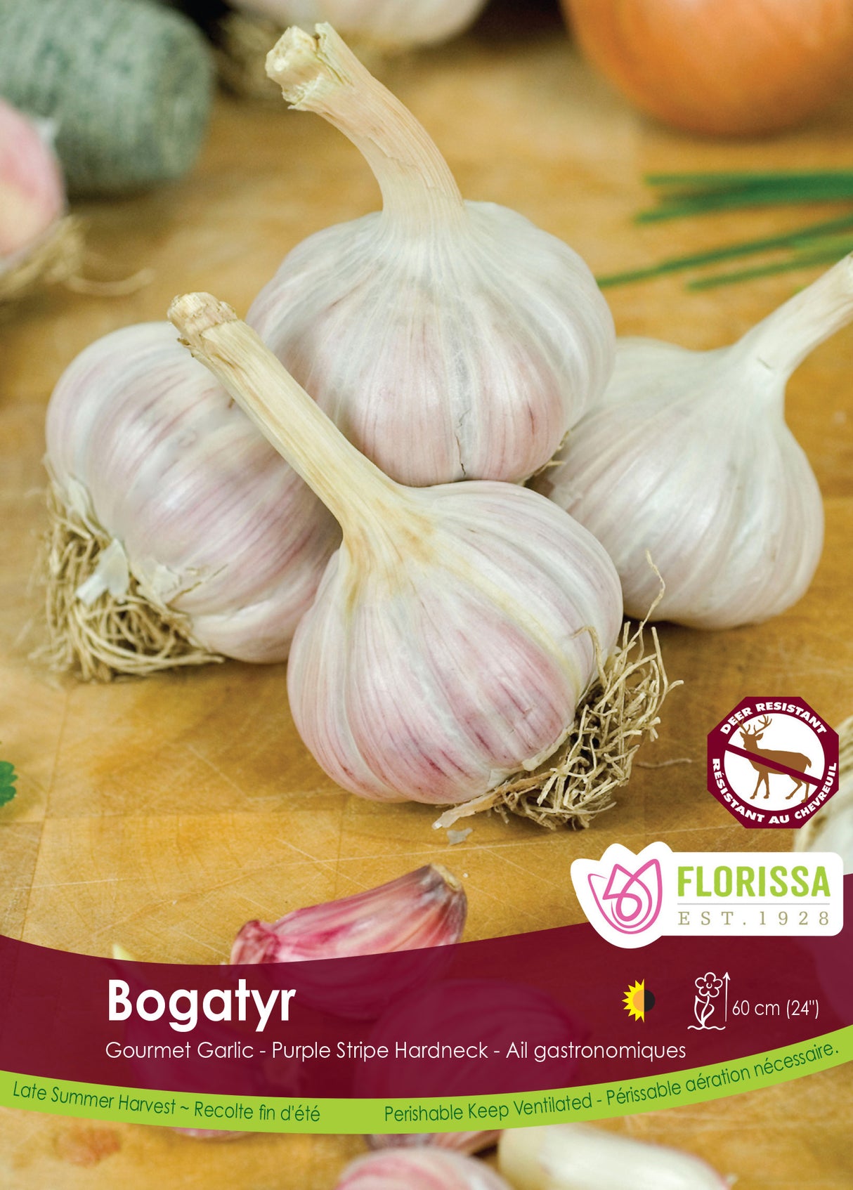 Garlic - Bogatyr Bulk