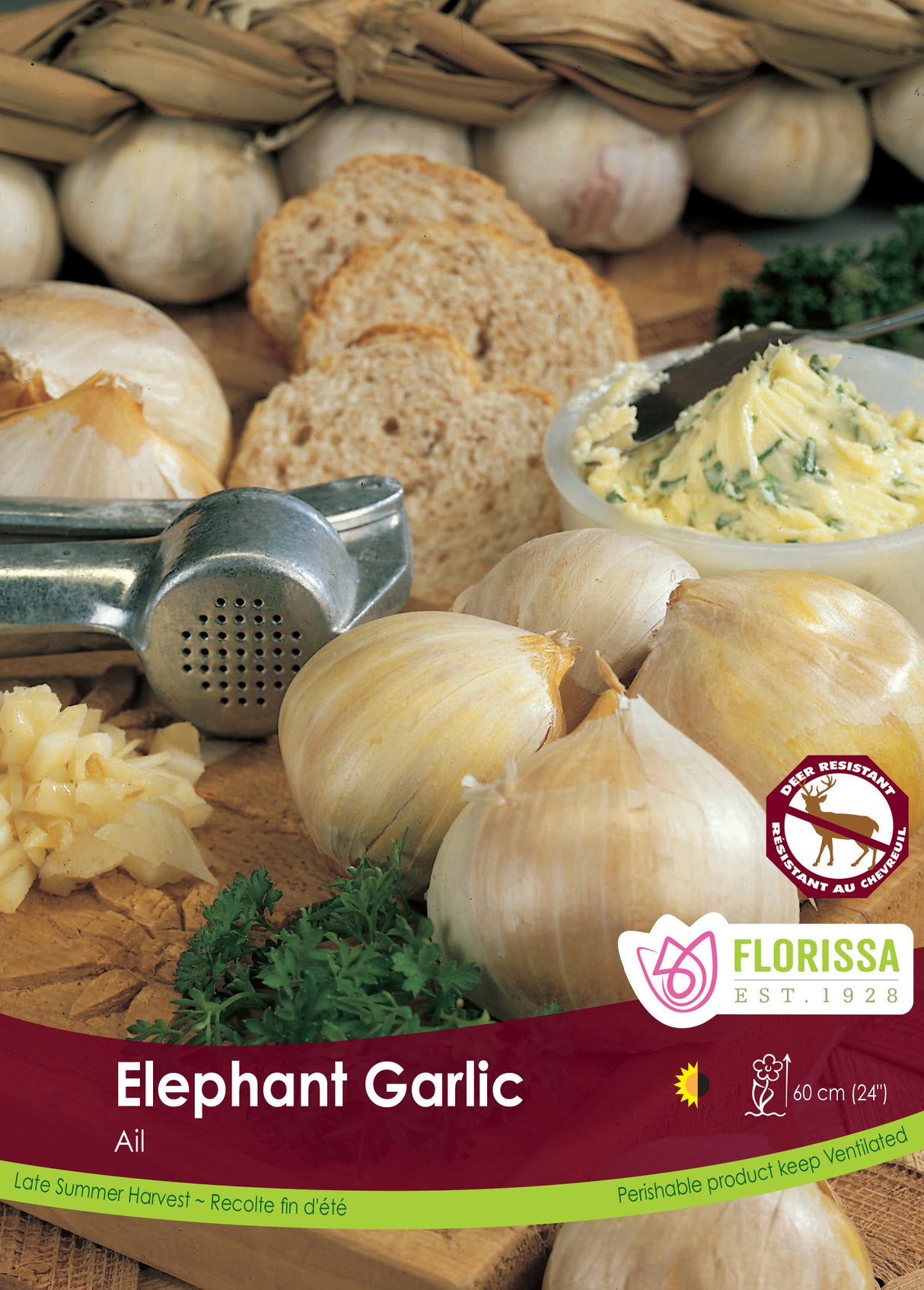 Garlic - Elephant Bulk