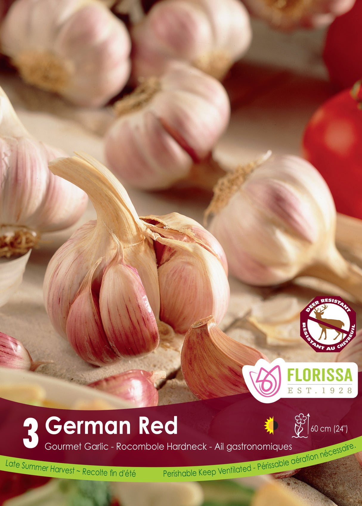 Garlic - German Red Retail
