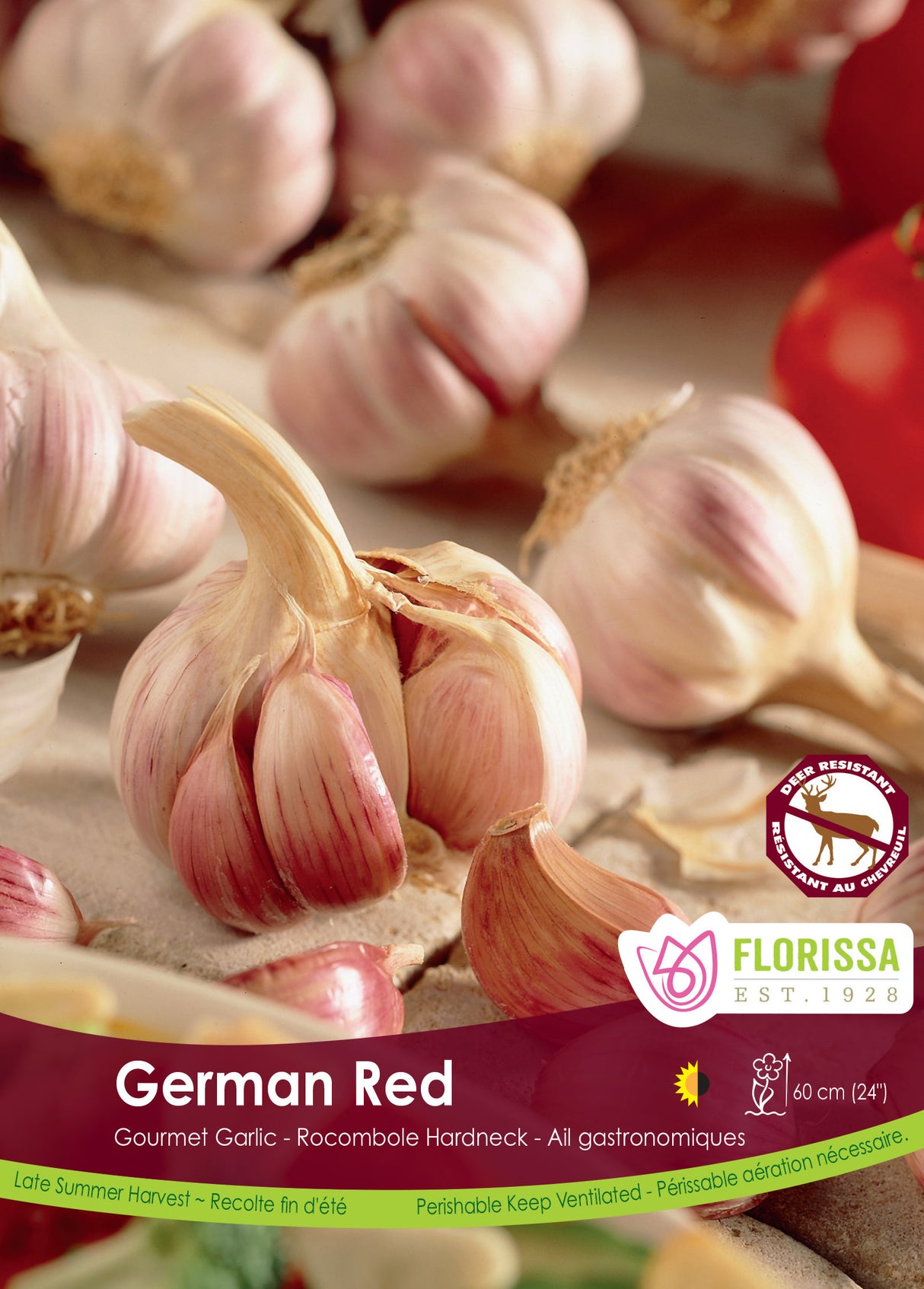 Garlic - German Red Bulk