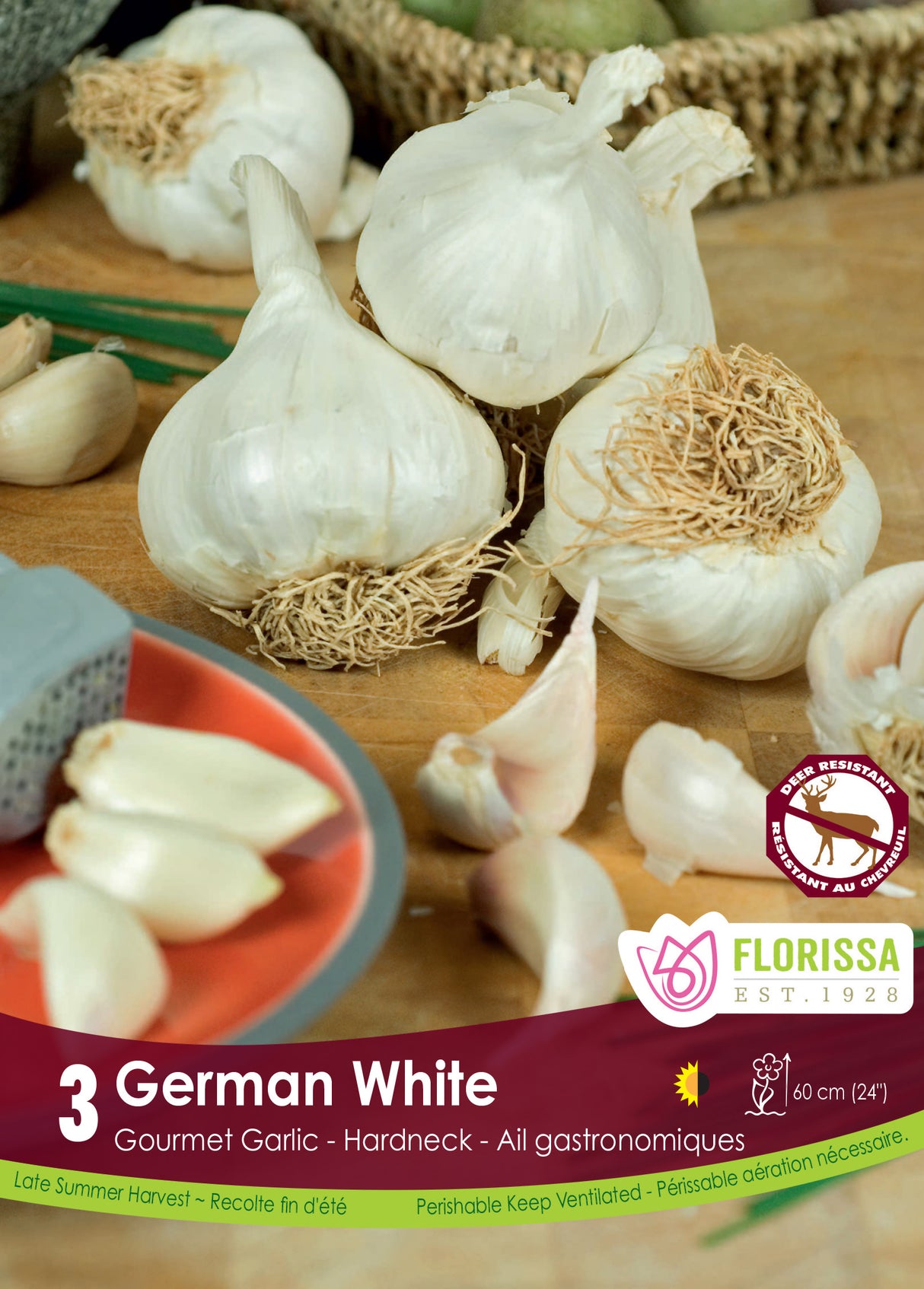 Garlic - German White Retail