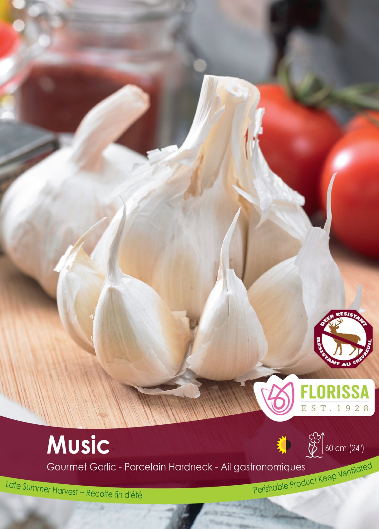 Garlic Jumbo - Music 30 lb/ Tray