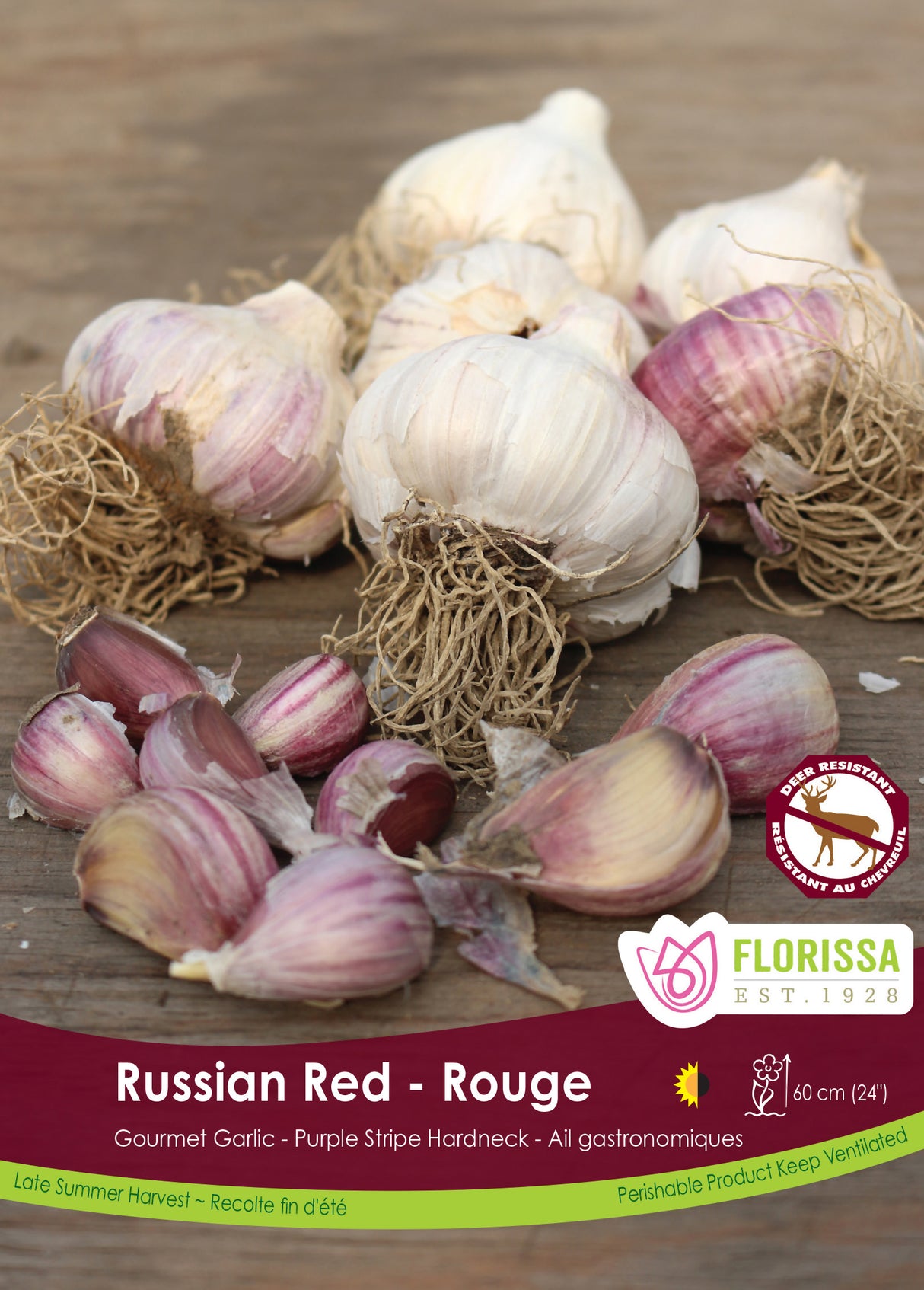 Garlic - Russian Red Bulk