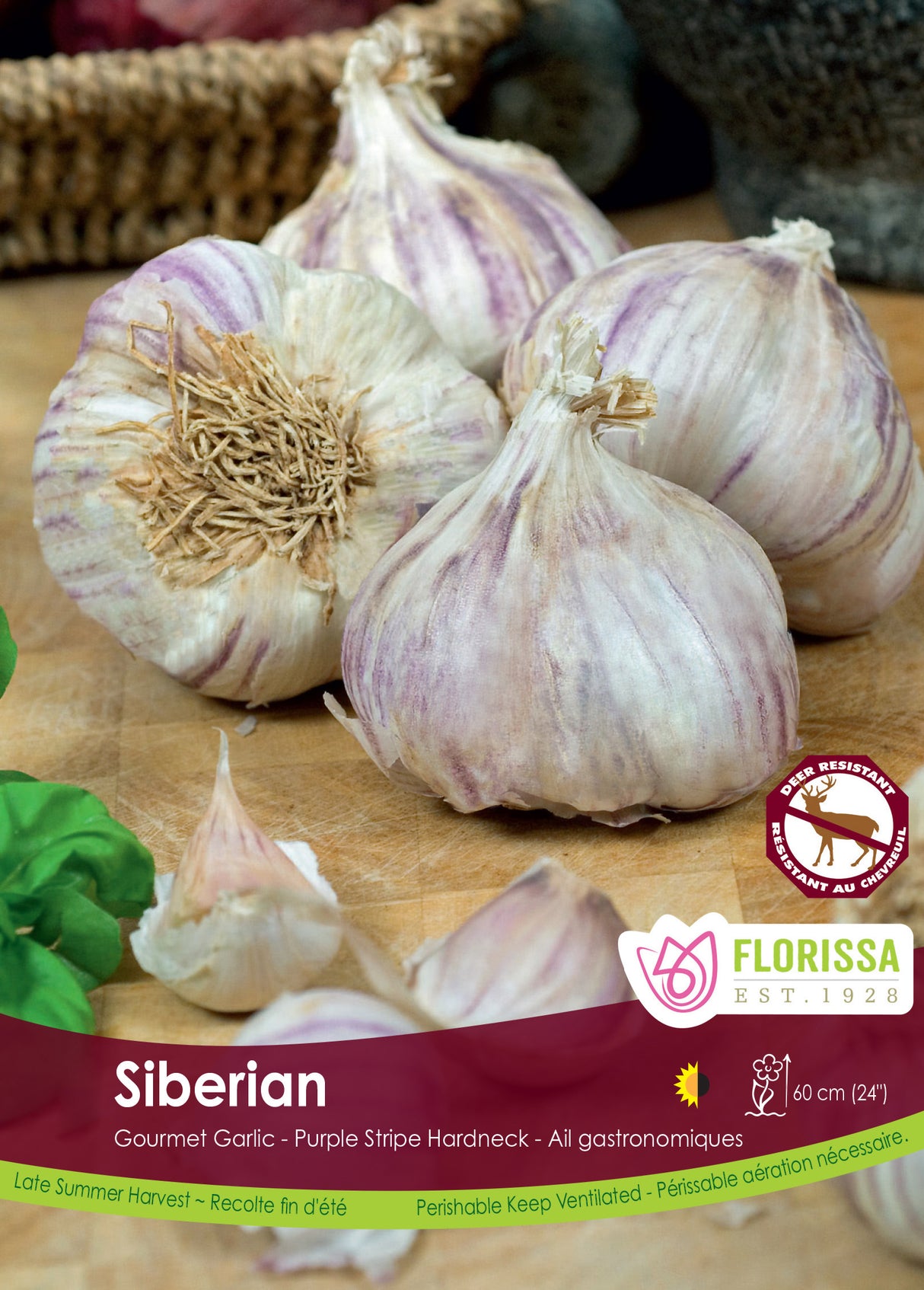 Garlic - Siberian Bulk