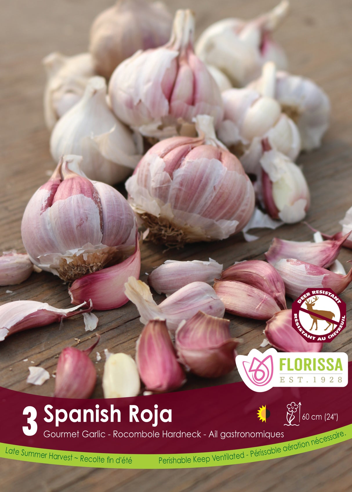 Garlic - Spanish Roja Retail