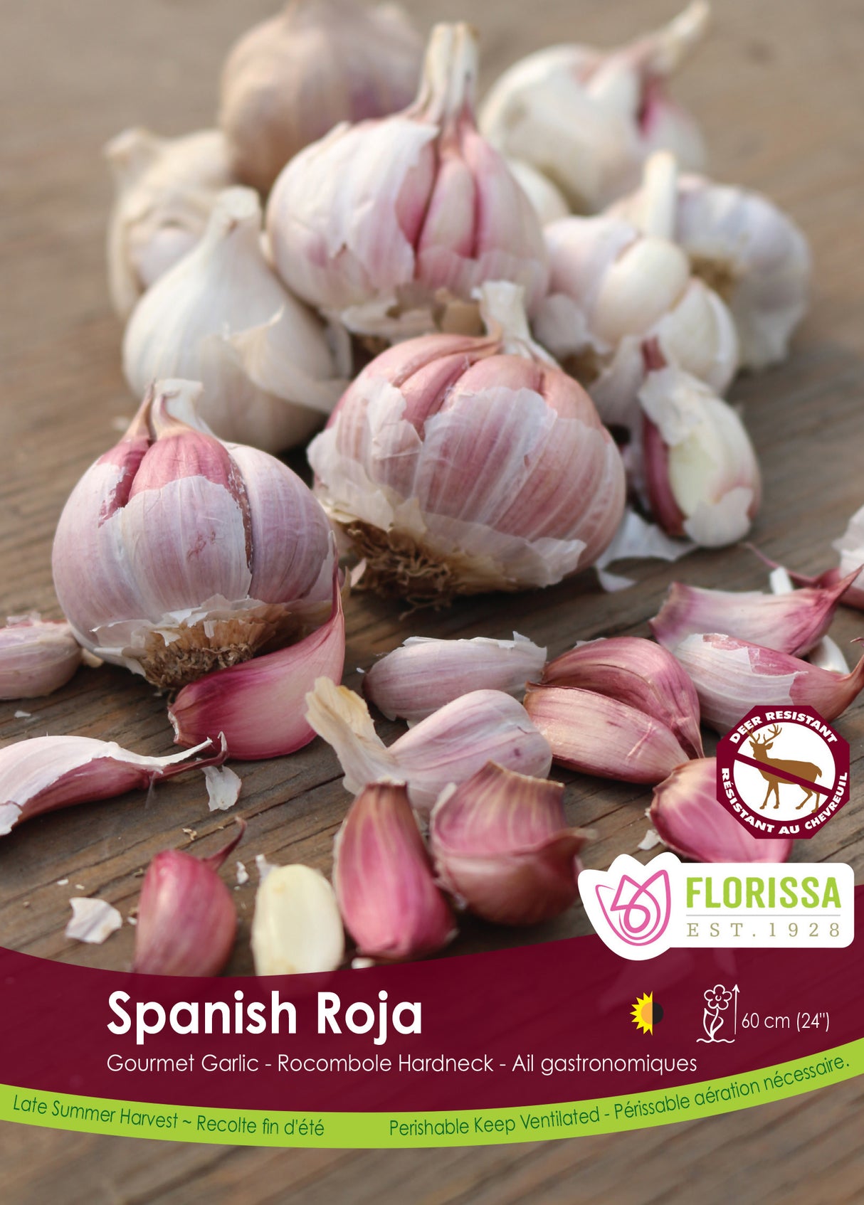 Garlic - Spanish Roja Bulk