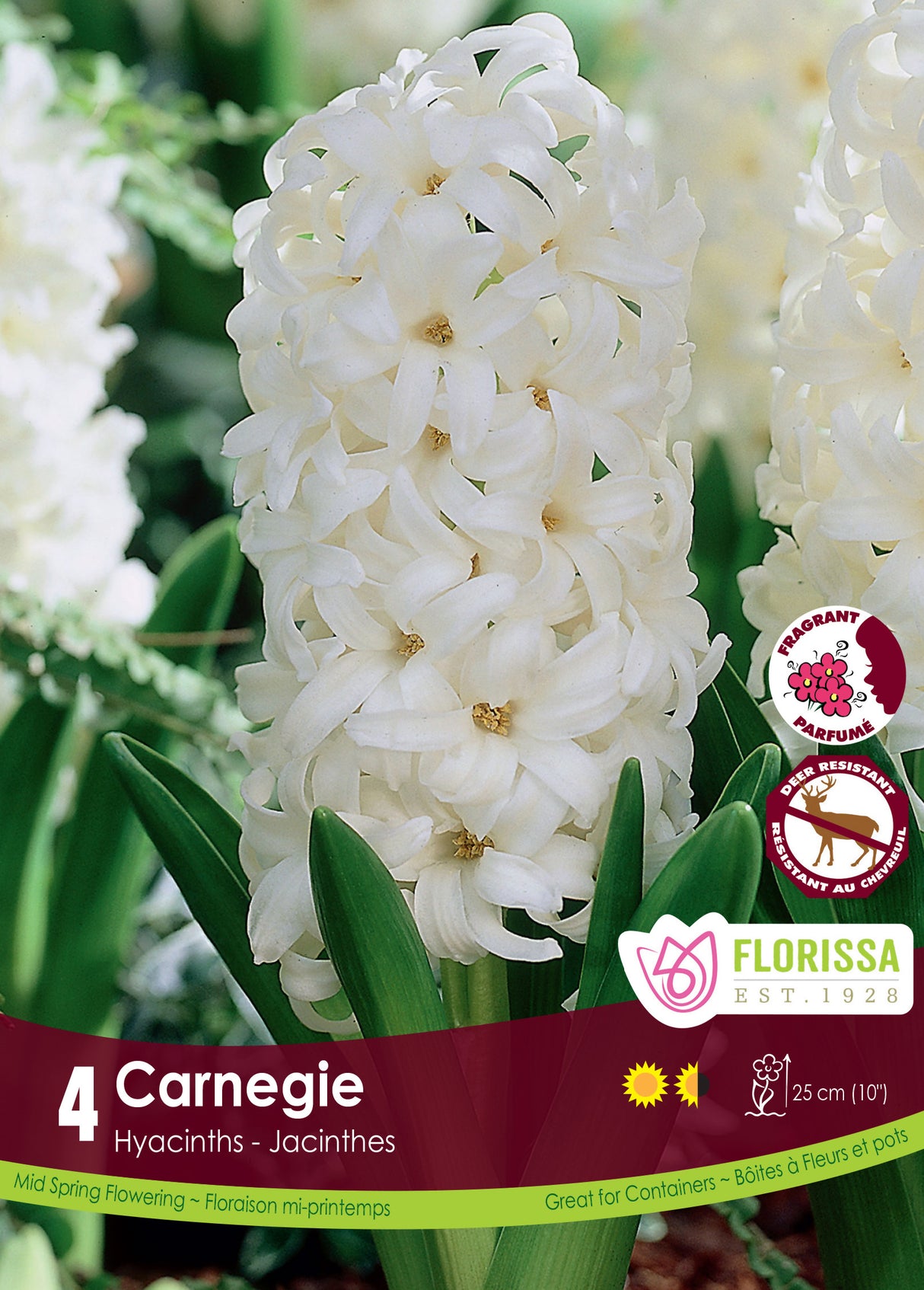 Hyacinth - Carnegie Retail