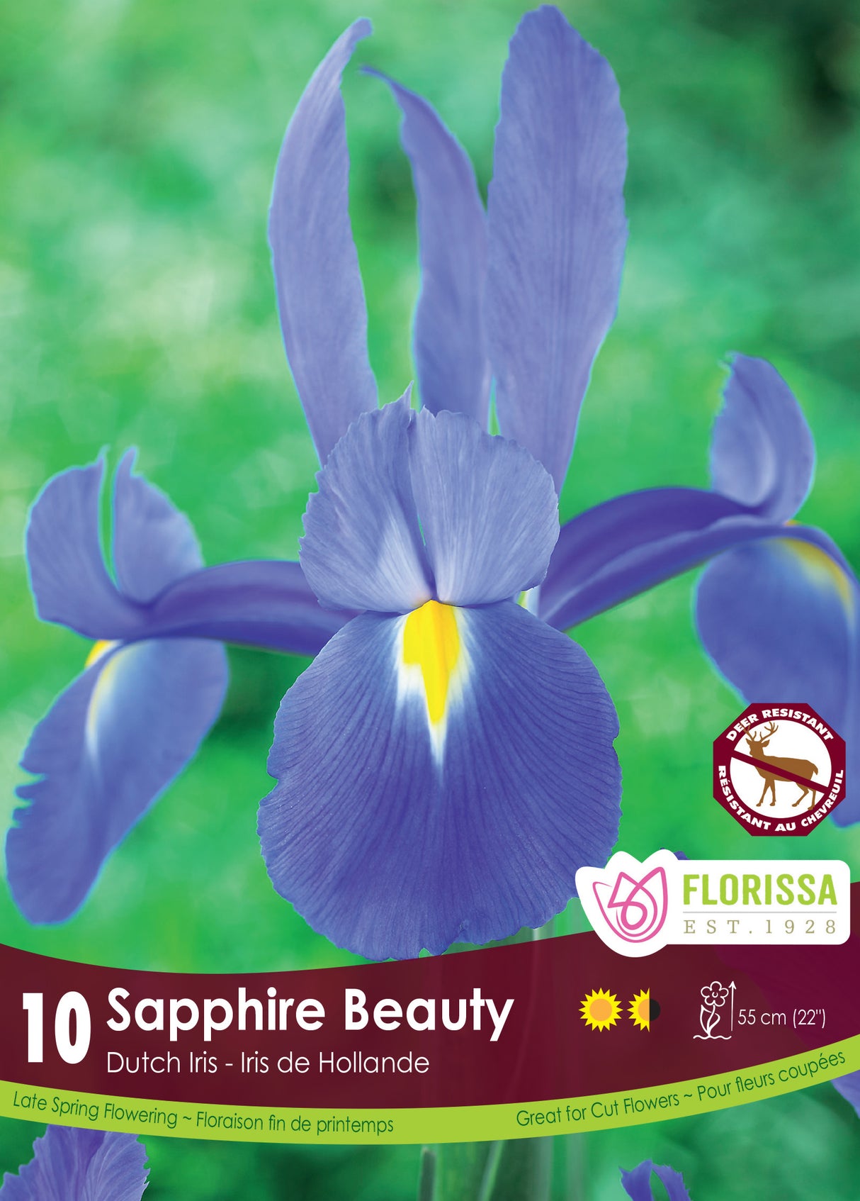 Iris Dutch - Sapphire Beauty Retail