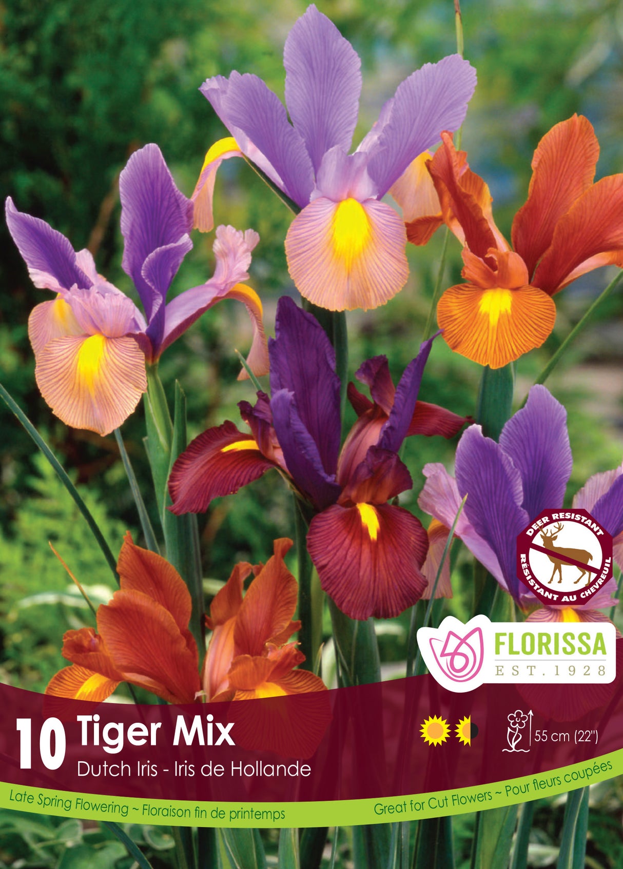 Iris Dutch - Tiger Mix Retail