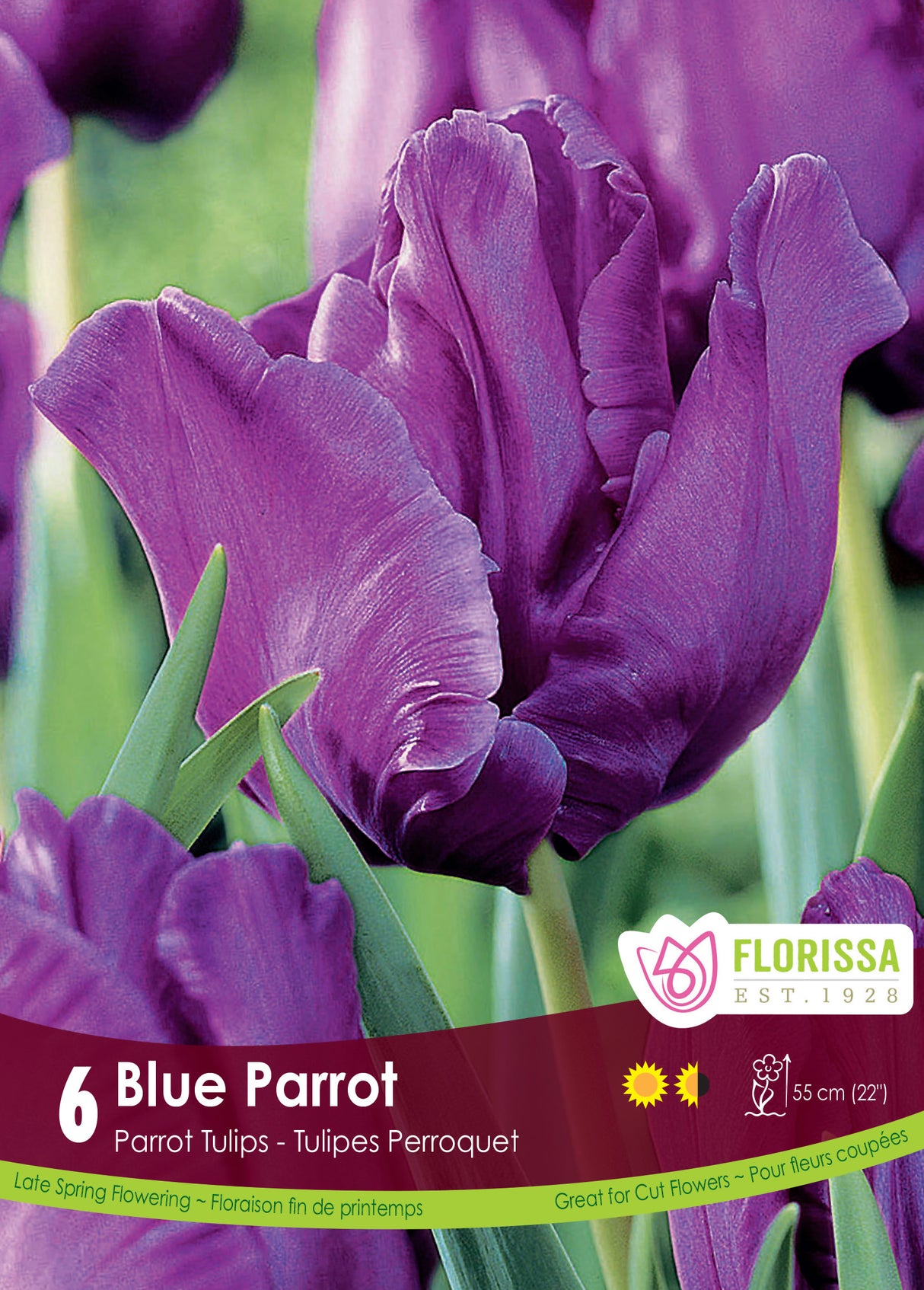 Tulip Parrot - Blue Parrot Retail