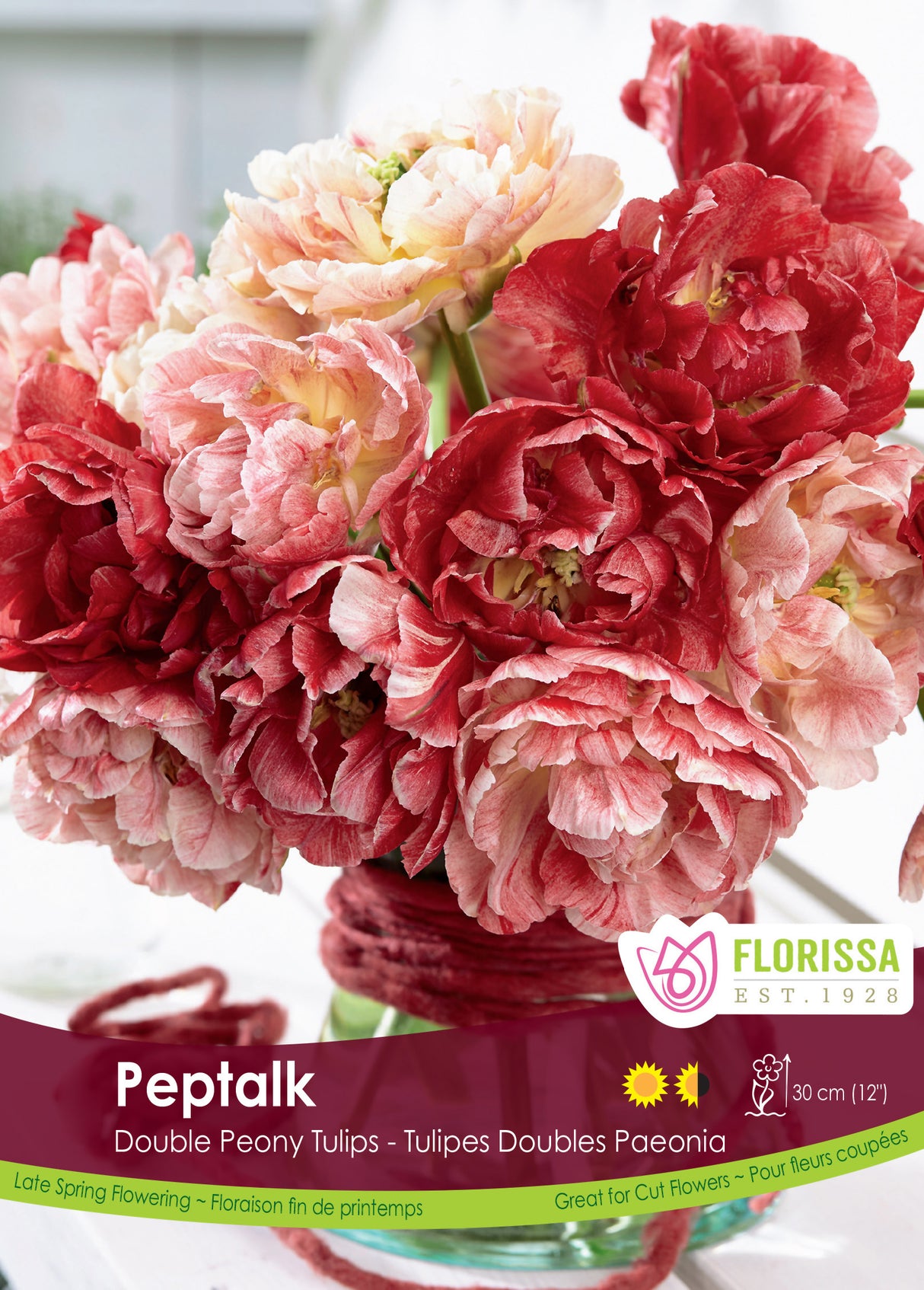 Tulip Double Late - Peptalk Bulk