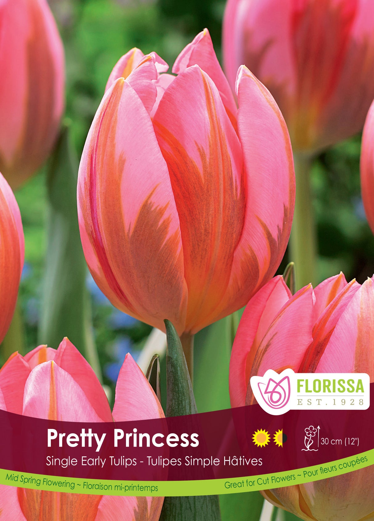Tulip Single Early - Pretty Princess Bulk