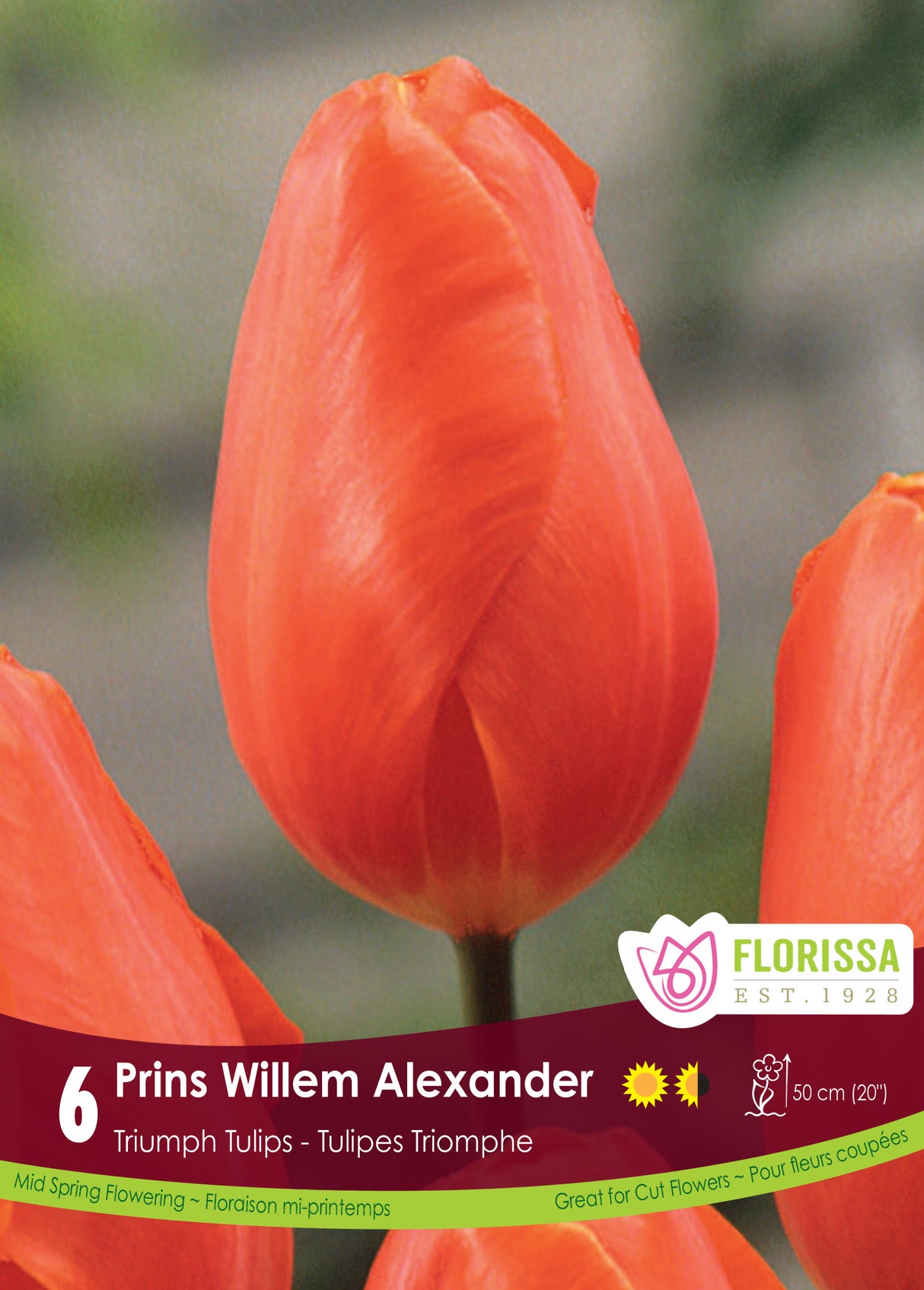 Tulip Triumph - Prins Willem Alexander Retail
