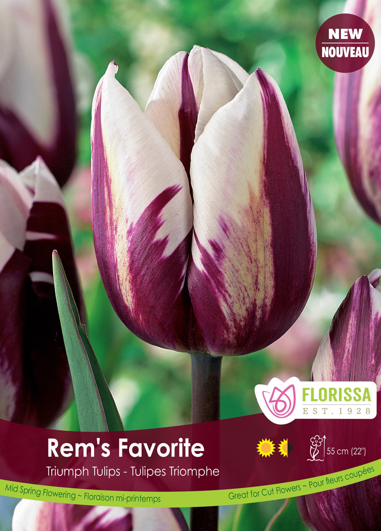 Tulip Triumph - Rem's Favorite Bulk