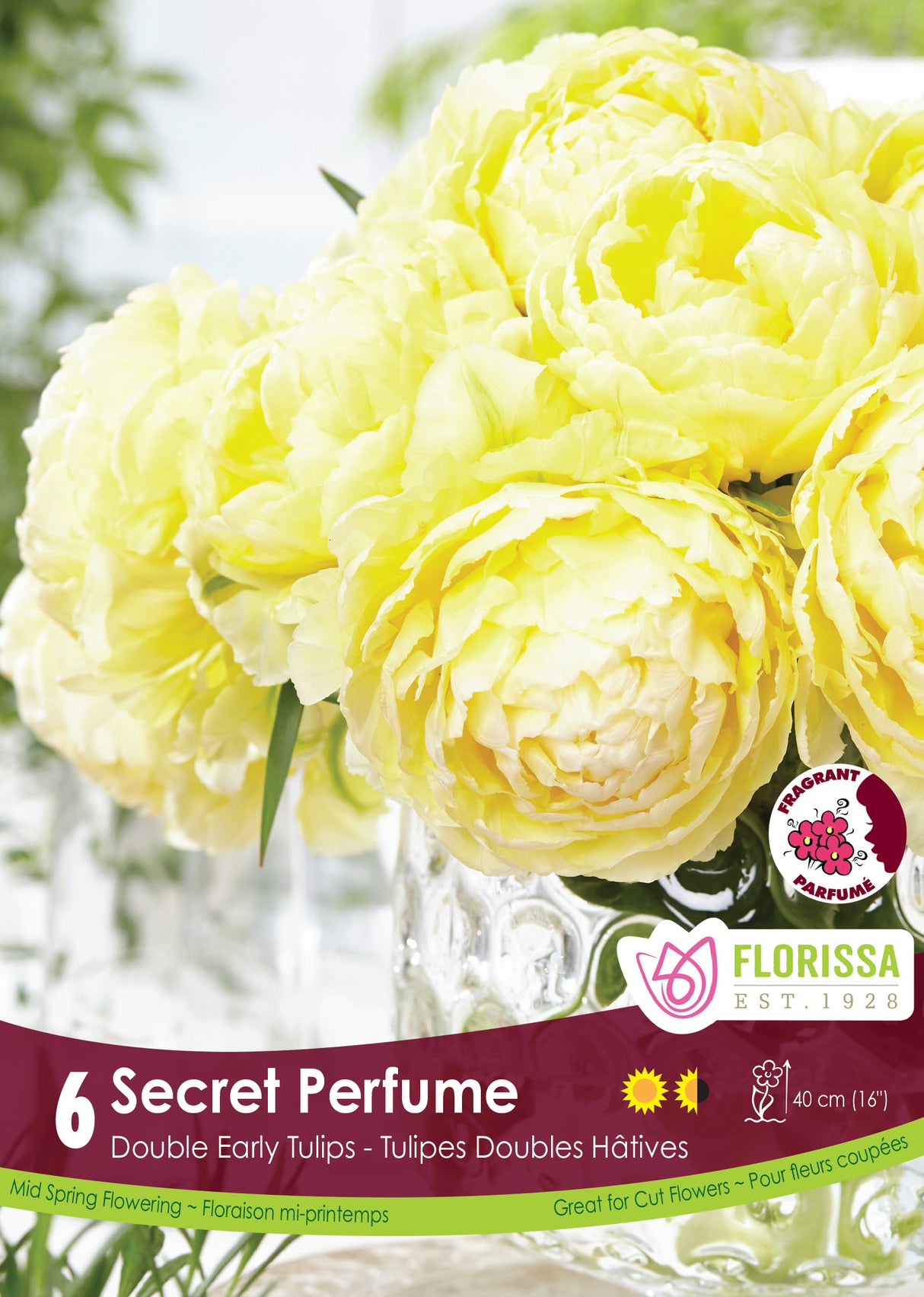 Tulip Double Early - Secret Perfume Retail